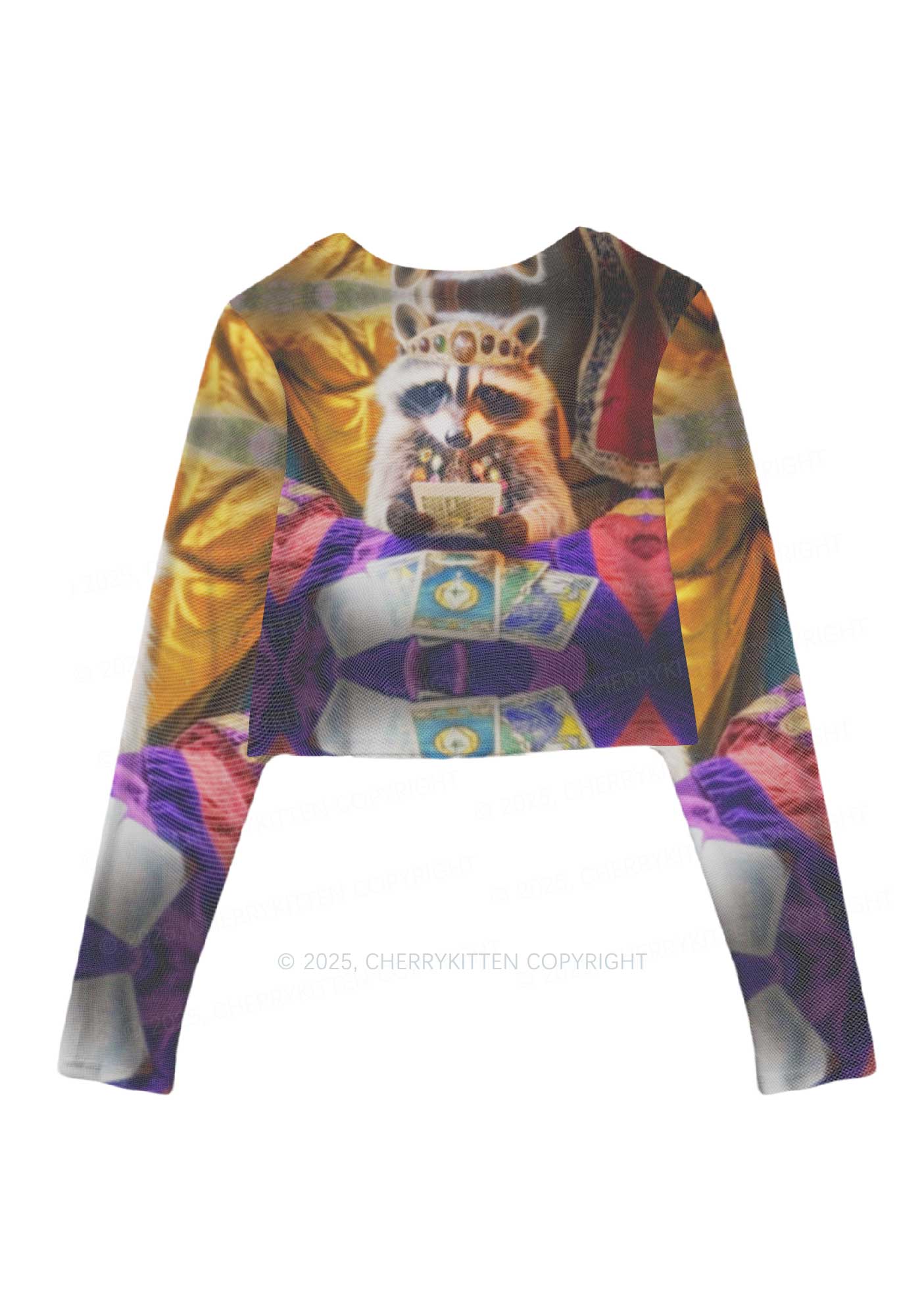 Tarot Raccoon Y2K Mesh Long Sleeve Crop Top Cherrykitten - Image 3