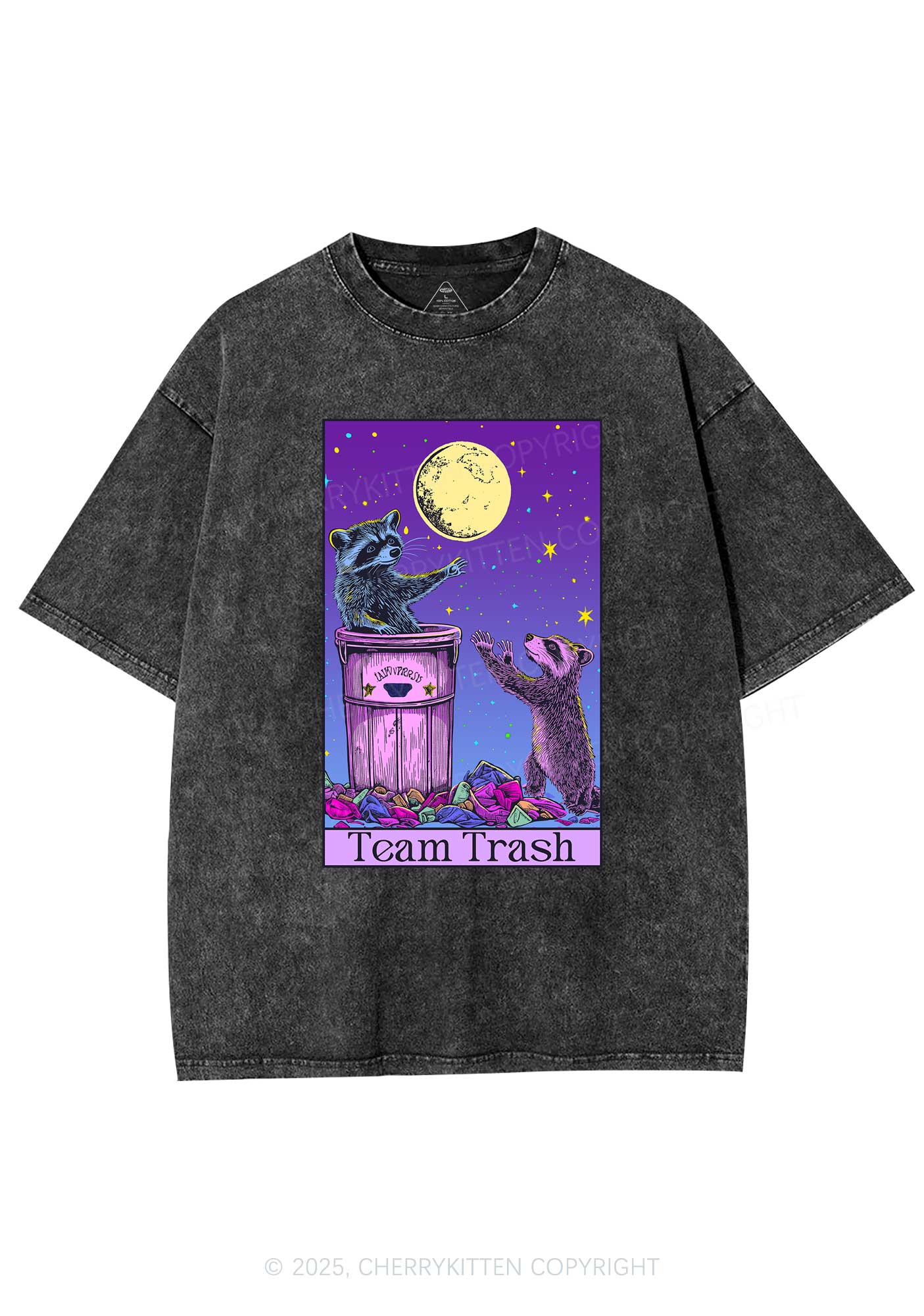 Team Trash Y2K Washed Tee Cherrykitten - Image 3