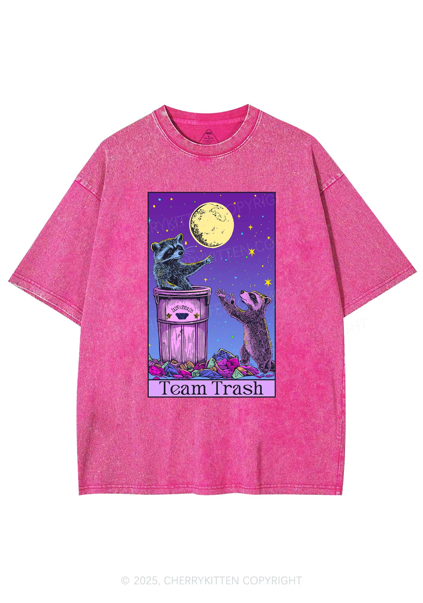 Team Trash Y2K Washed Tee Cherrykitten - Image 4