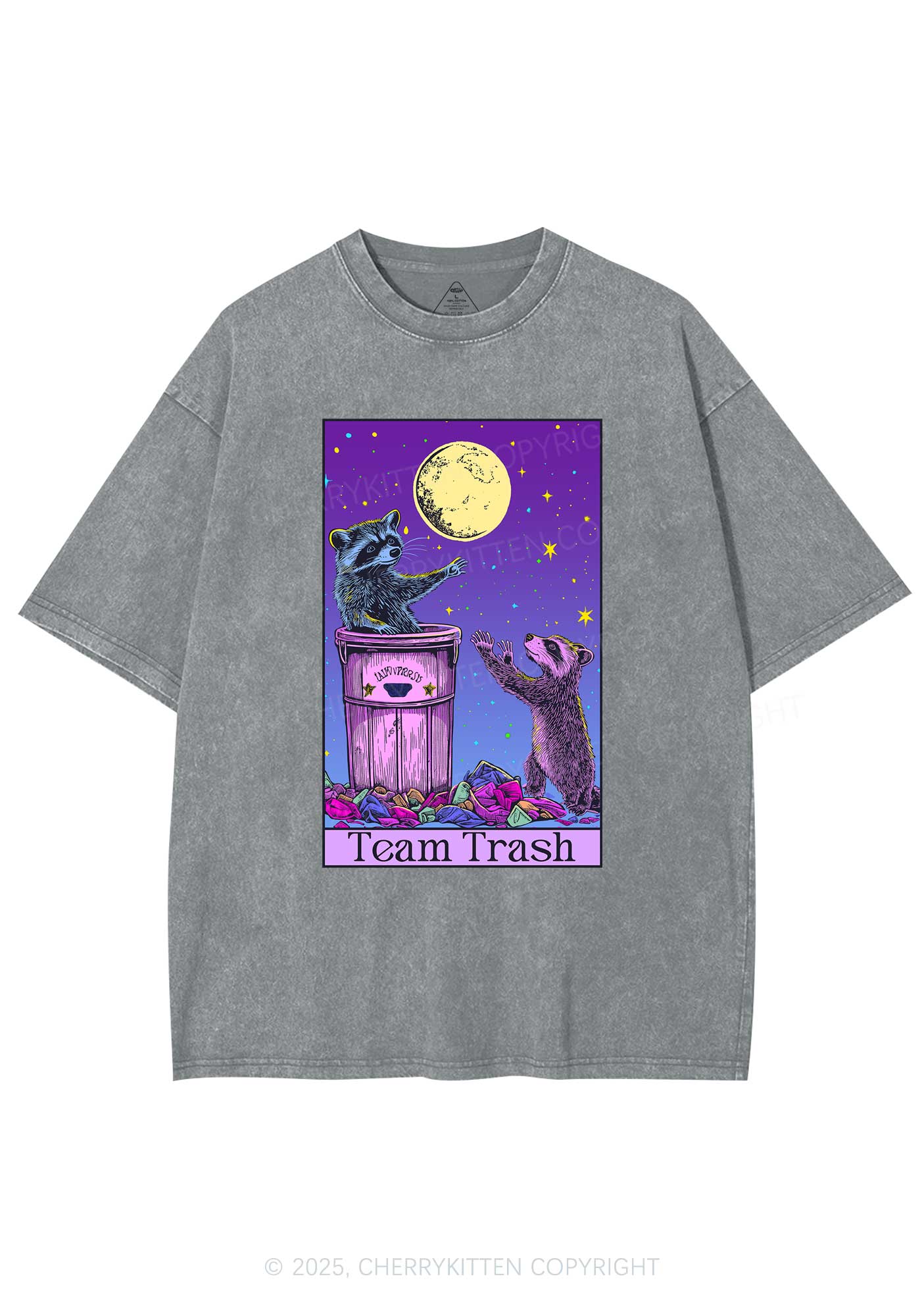 Team Trash Y2K Washed Tee Cherrykitten - Image 6