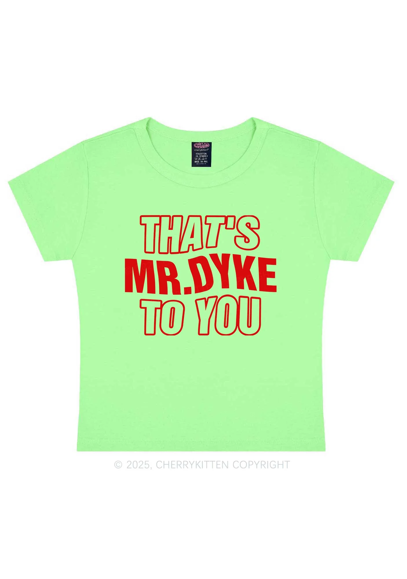 Thats Mr Dyke Pride Y2K Baby Tee Cherrykitten - Image 13