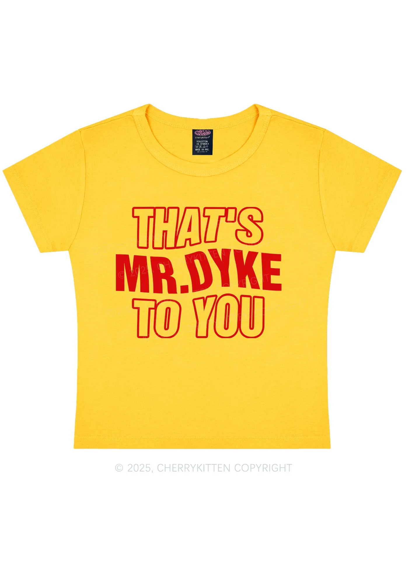 Thats Mr Dyke Pride Y2K Baby Tee Cherrykitten - Image 5