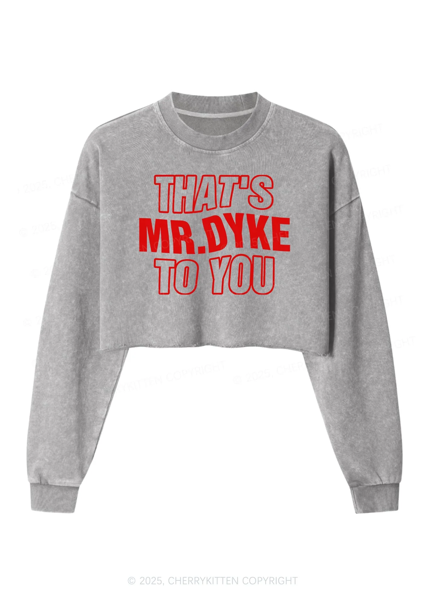 Thats Mr Dyke Pride Y2K Crop Washed Sweatshirts Cherrykitten - Image 5