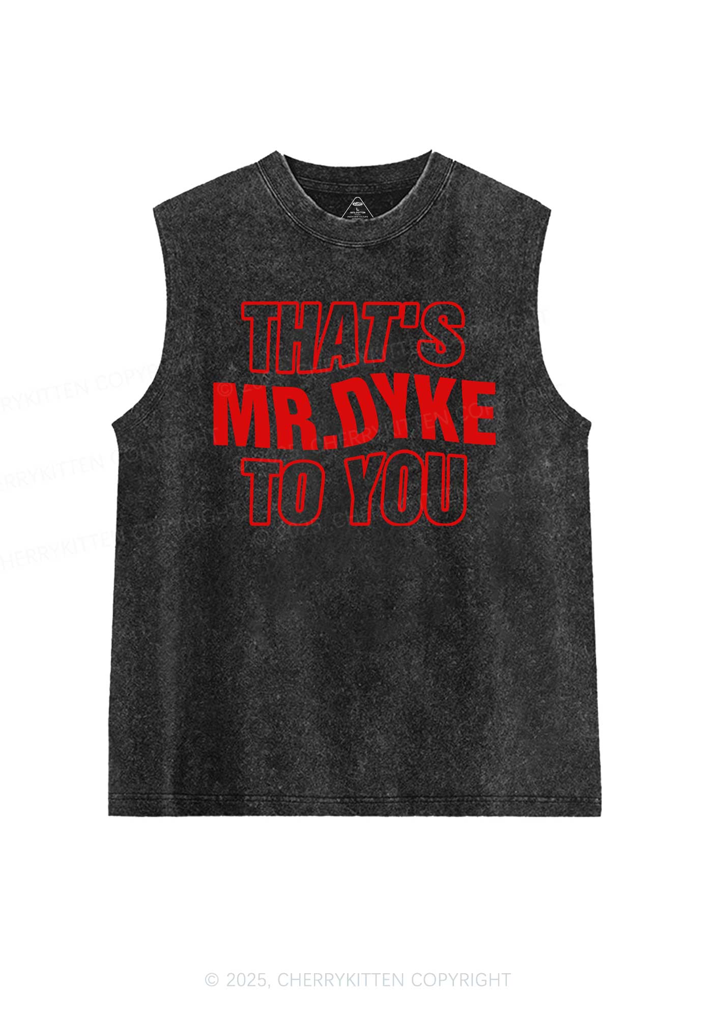 Thats Mr Dyke Pride Y2K Washed Muscle Tank Cherrykitten - Image 3