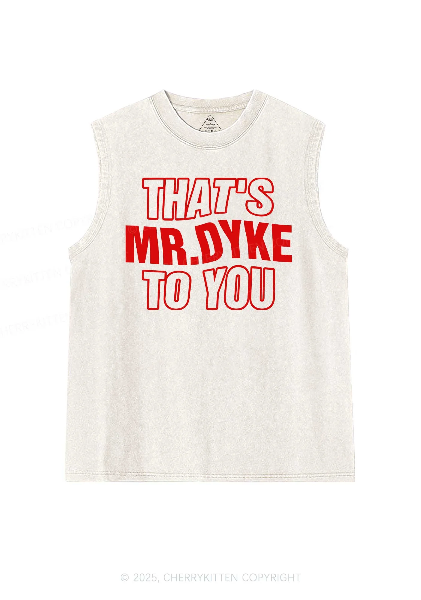 Thats Mr Dyke Pride Y2K Washed Muscle Tank Cherrykitten - Image 4