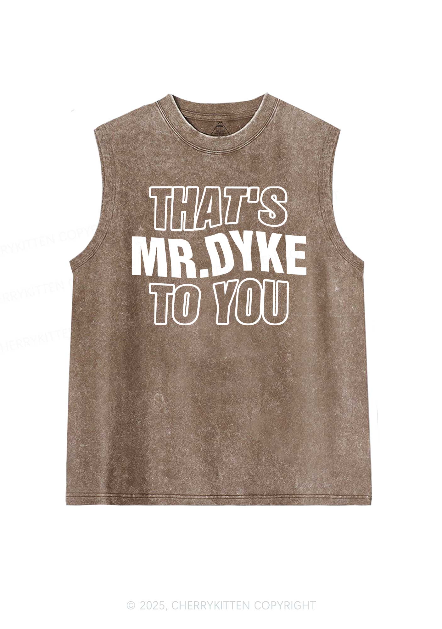 Thats Mr Dyke Pride Y2K Washed Muscle Tank Cherrykitten - Image 5