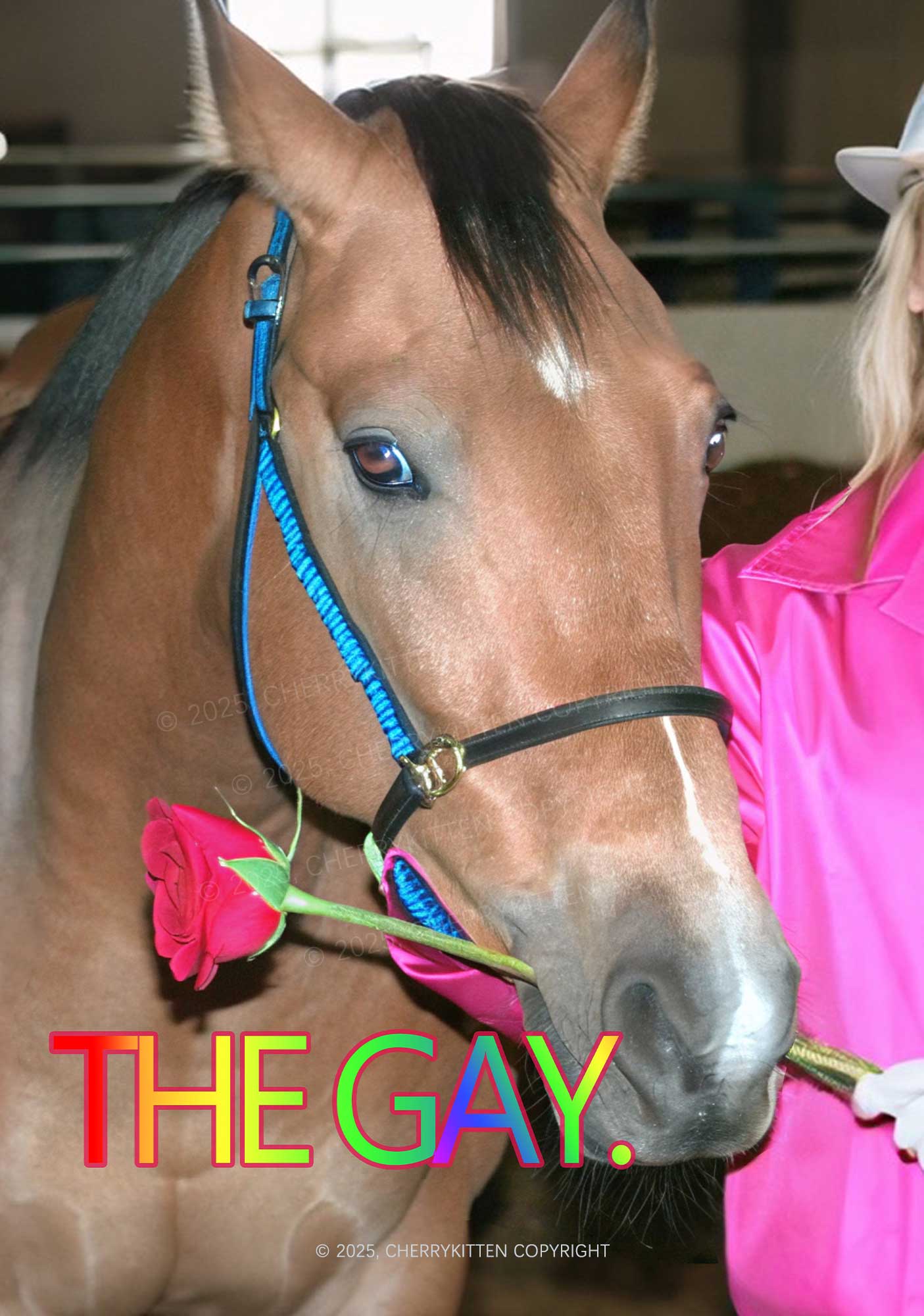 The Gay Horse Y2K Print Slip Dress Cherrykitten - Image 2