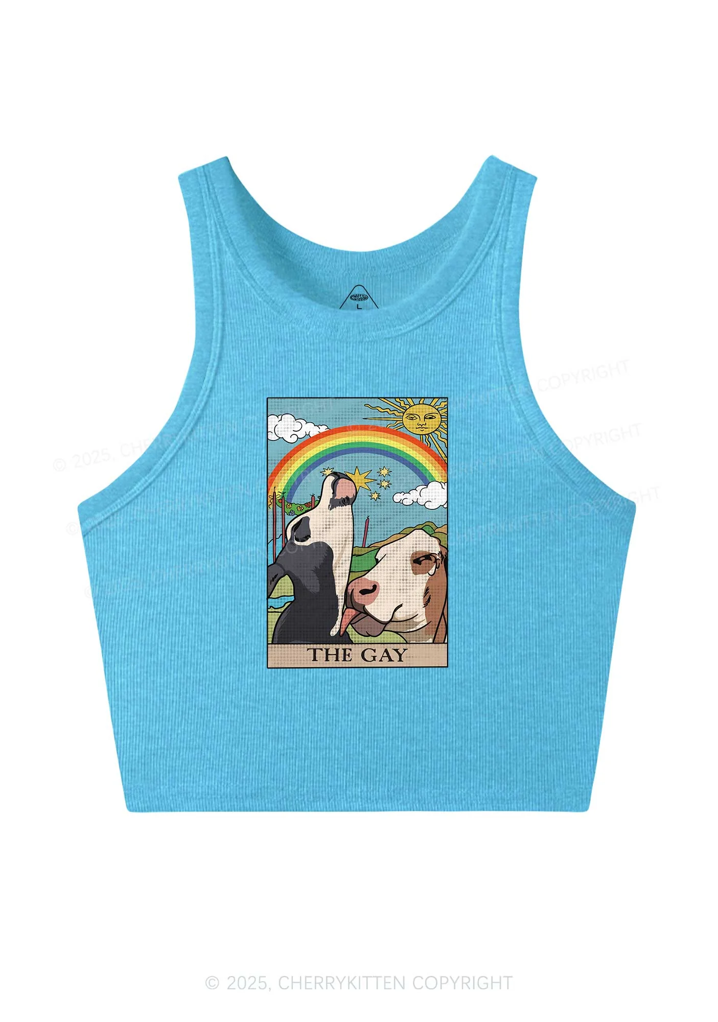 The Gay Pride Y2K Crop Tank Top Cherrykitten - Image 5