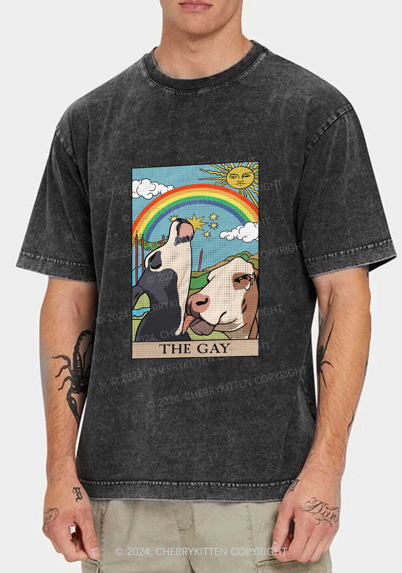 The Gay Y2K Washed Tee Cherrykitten - Image 2
