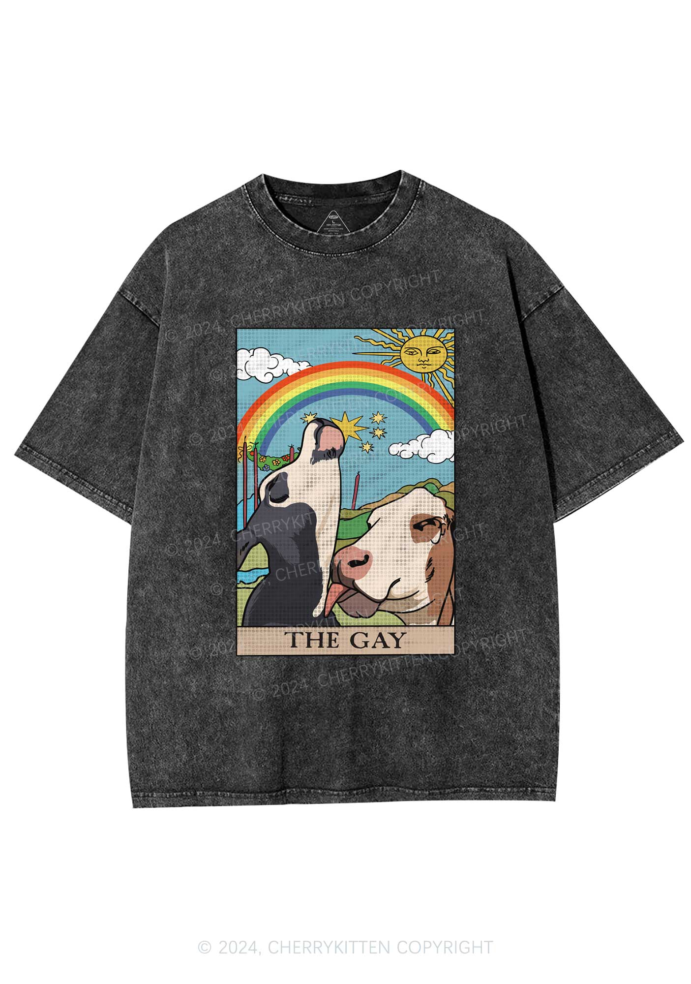 The Gay Y2K Washed Tee Cherrykitten - Image 3
