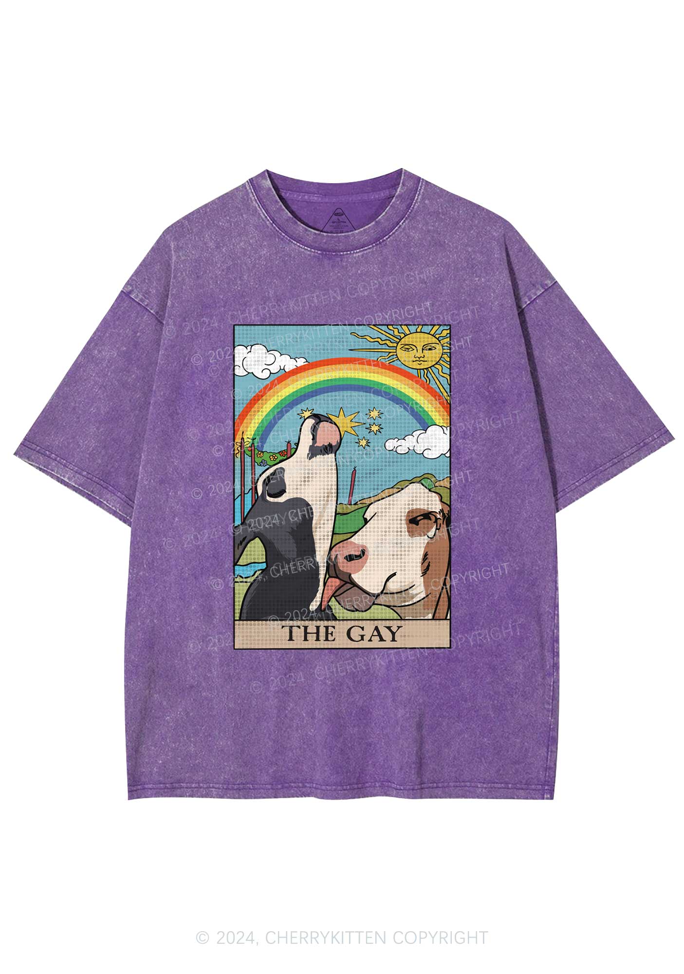 The Gay Y2K Washed Tee Cherrykitten - Image 5