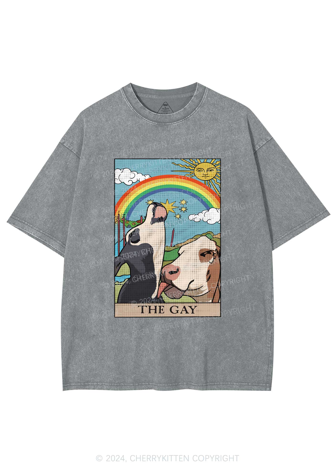 The Gay Y2K Washed Tee Cherrykitten - Image 6