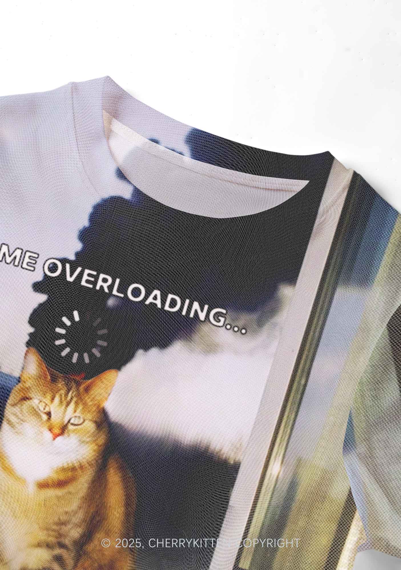 The Overloading Cat Y2K Mesh Crop Top Cherrykitten - Image 3