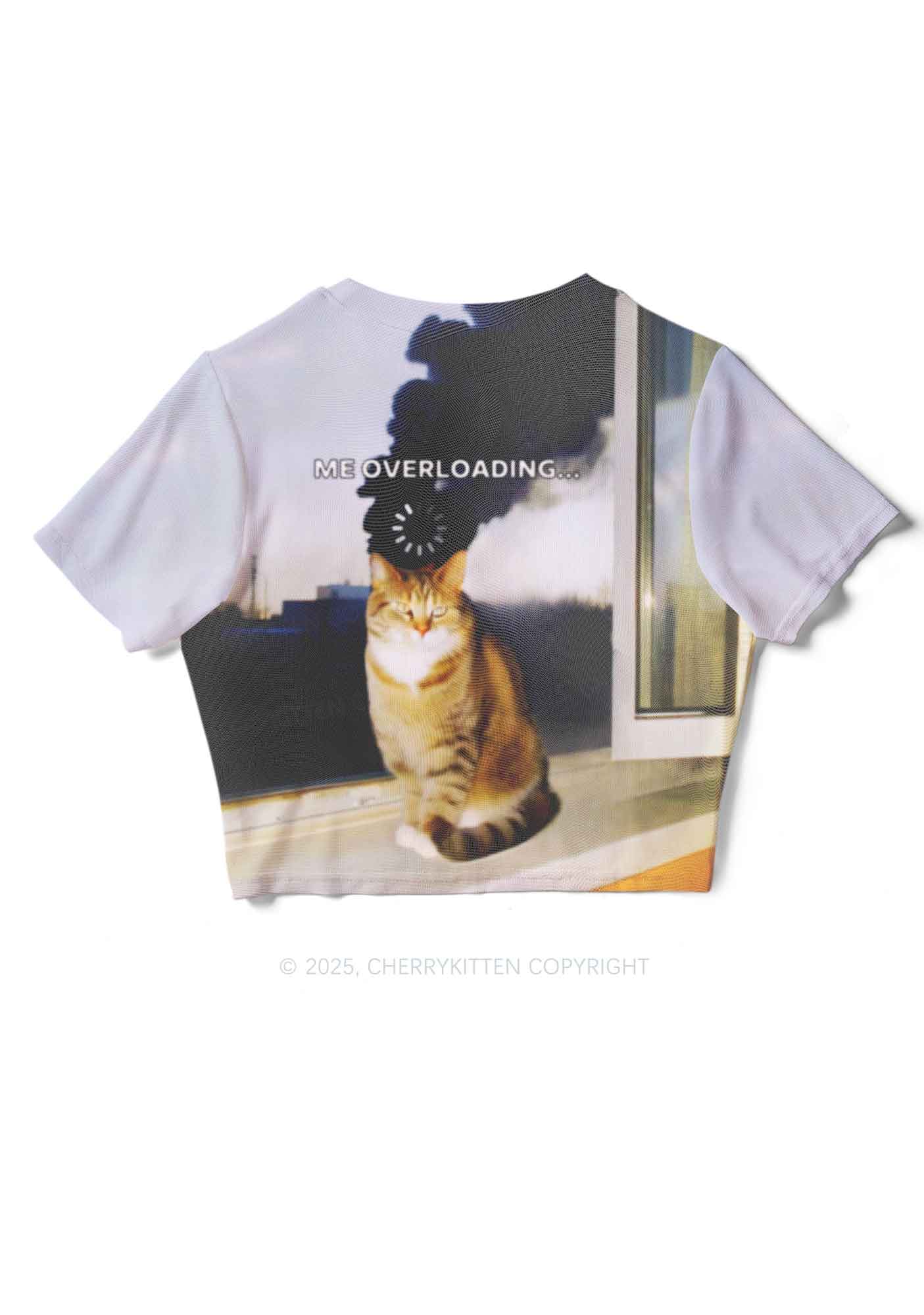 The Overloading Cat Y2K Mesh Crop Top Cherrykitten - Image 5