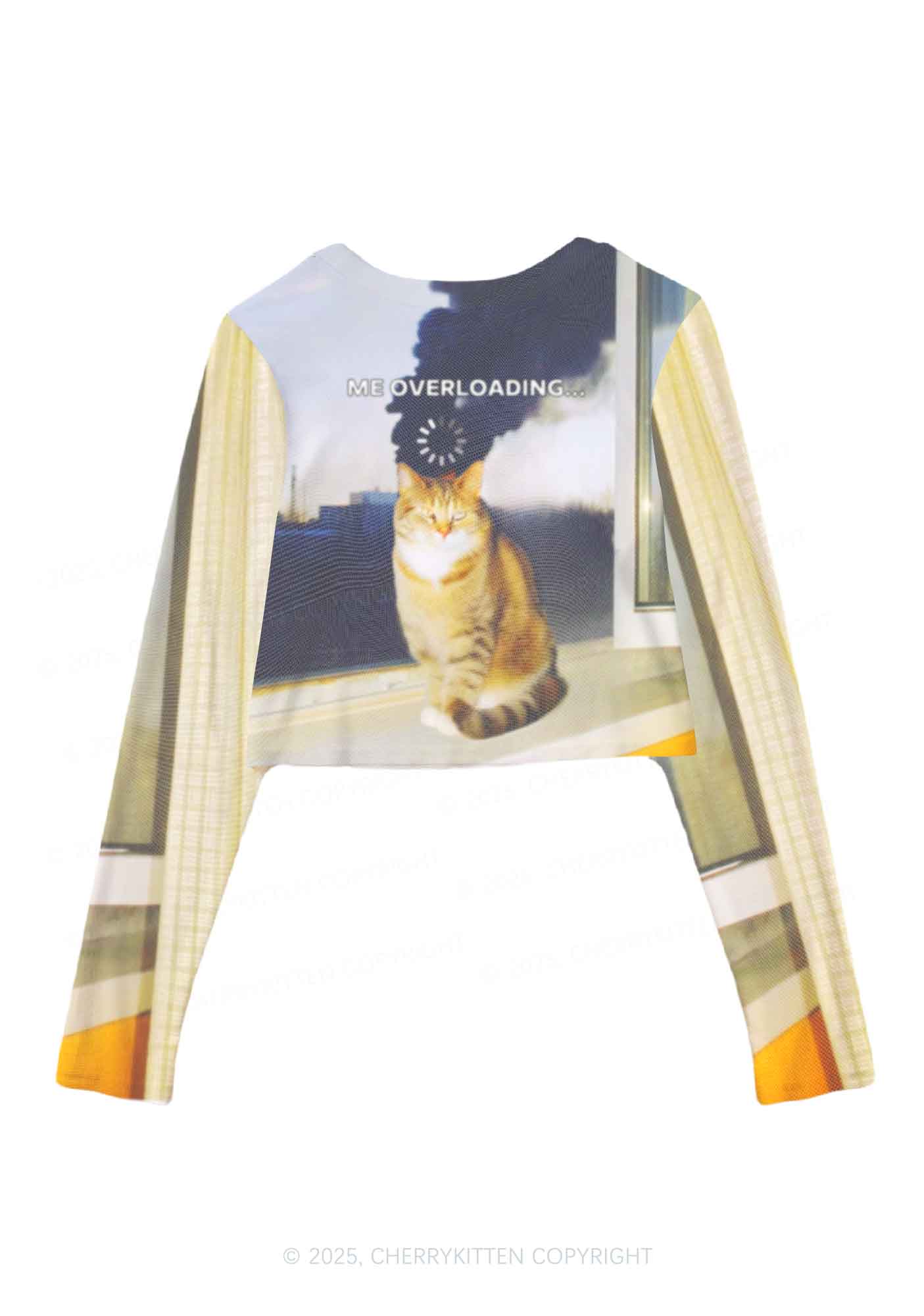 The Overloading Cat Y2K Mesh Long Sleeve Crop Top Cherrykitten - Image 3