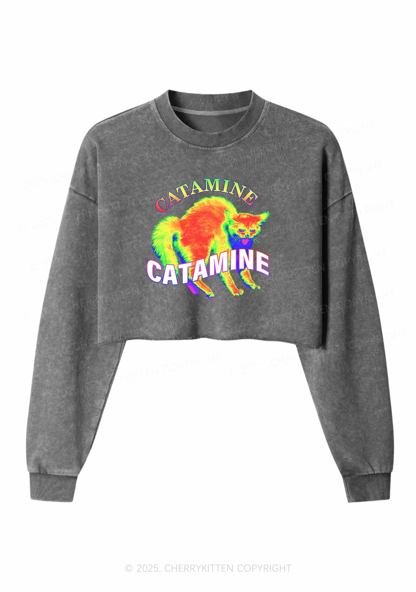 Thermal Cat Y2K Crop Washed Sweatshirts Cherrykitten - Image 3