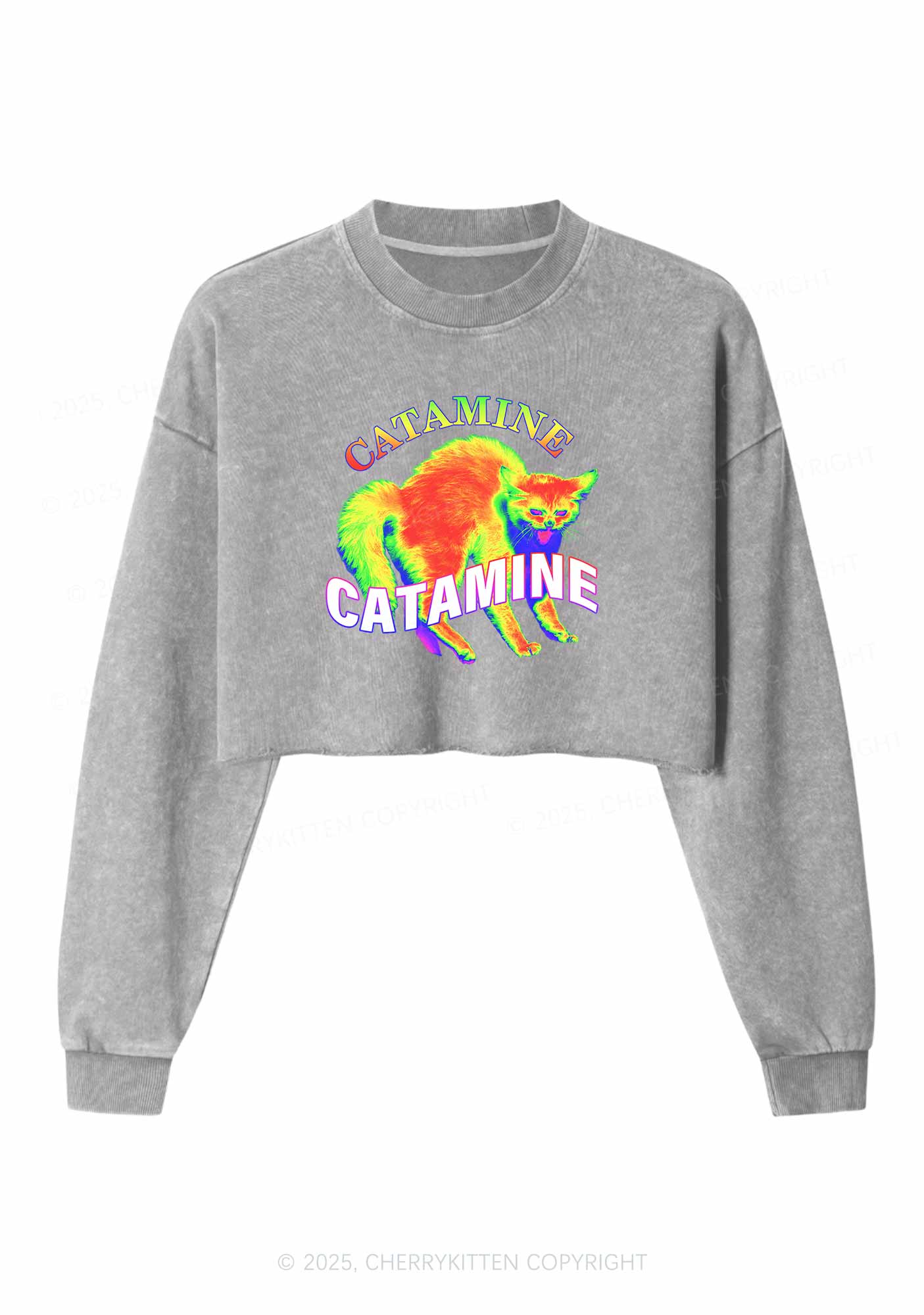 Thermal Cat Y2K Crop Washed Sweatshirts Cherrykitten - Image 4
