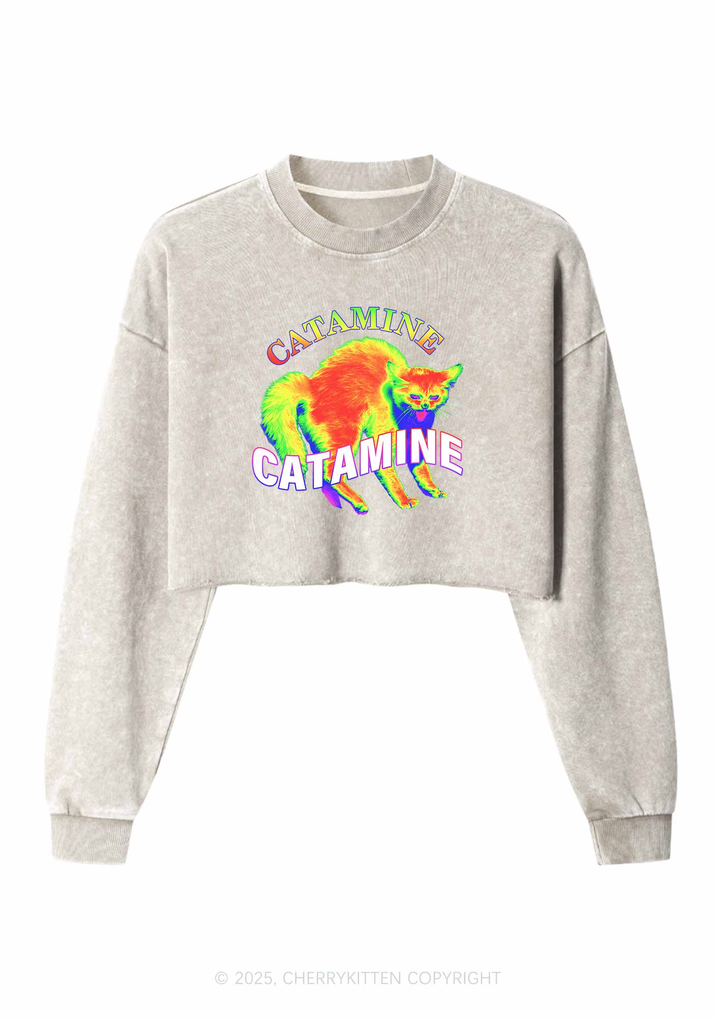 Thermal Cat Y2K Crop Washed Sweatshirts Cherrykitten - Image 5