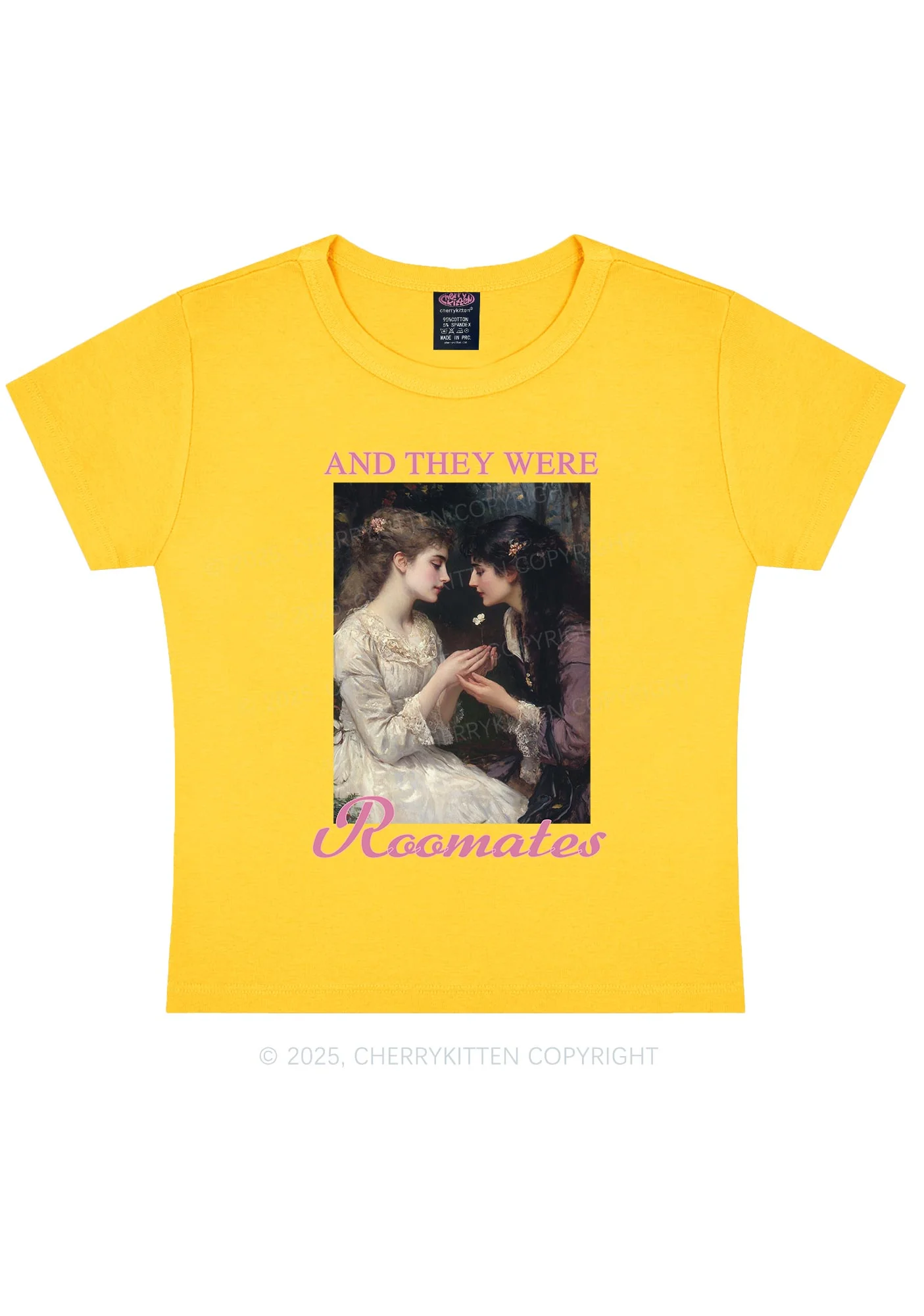 They Were Roomates Pride Y2K Baby Tee Cherrykitten - Image 8