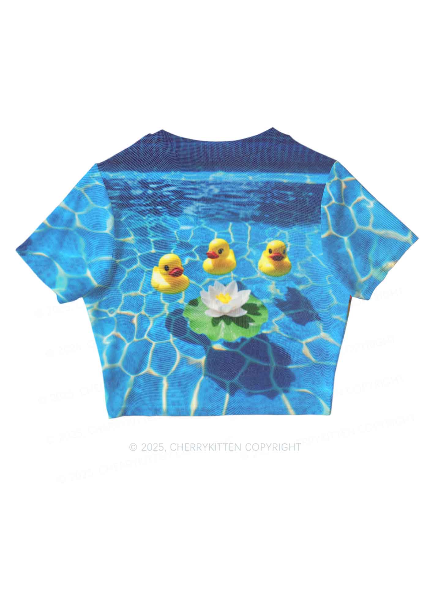 Three Ducks And Lily Y2K Mesh Crop Top Cherrykitten - Image 5