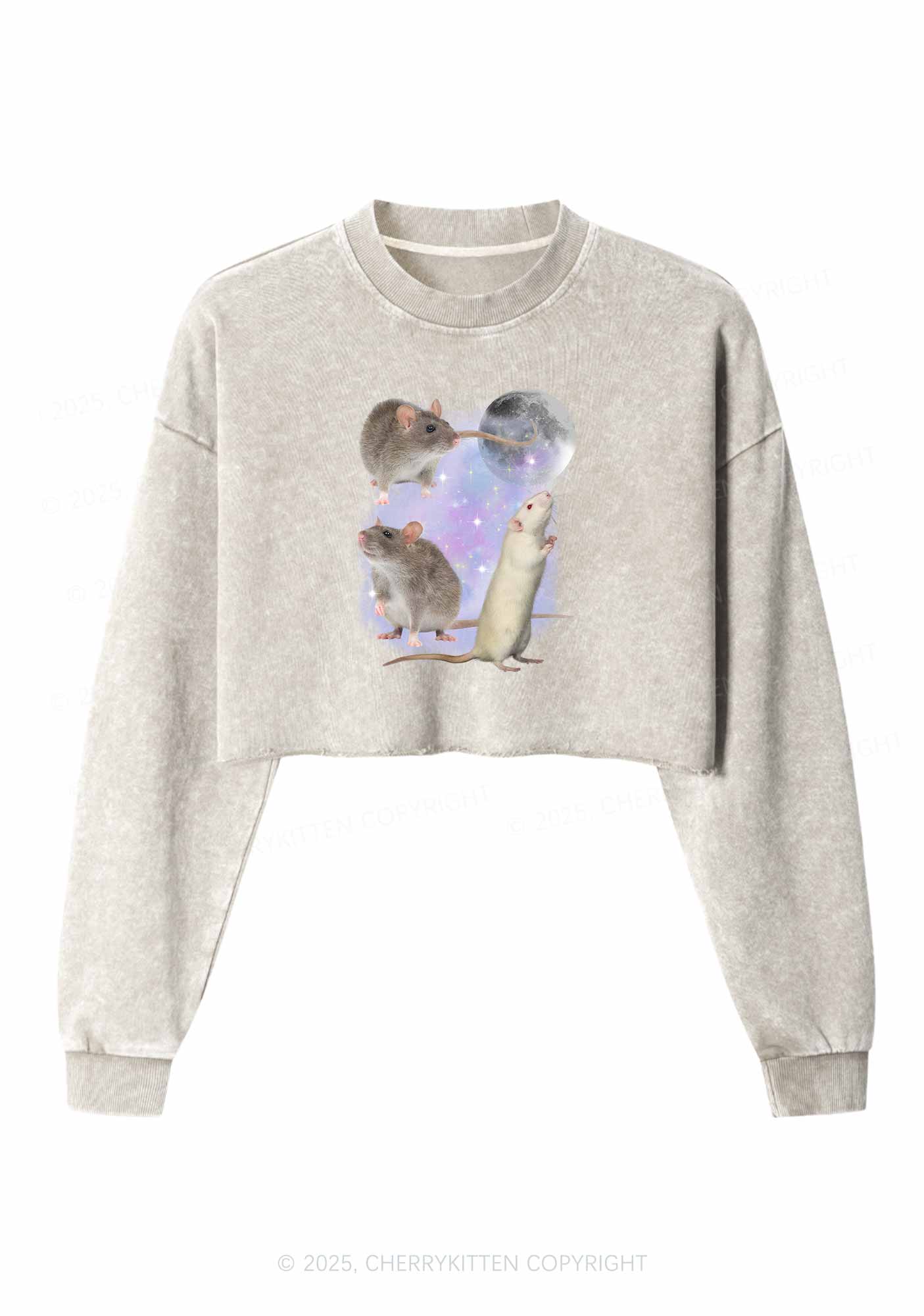 Three Rats Moon Y2K Crop Washed Sweatshirts Cherrykitten - Image 3