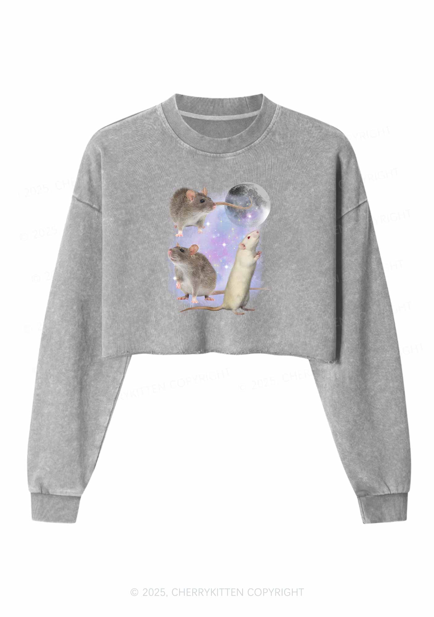 Three Rats Moon Y2K Crop Washed Sweatshirts Cherrykitten - Image 4