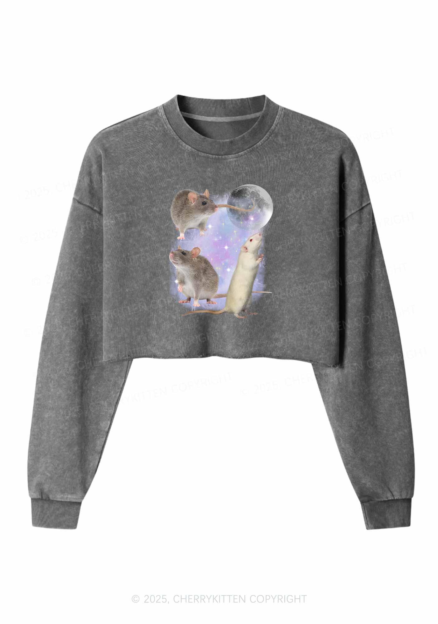 Three Rats Moon Y2K Crop Washed Sweatshirts Cherrykitten - Image 5