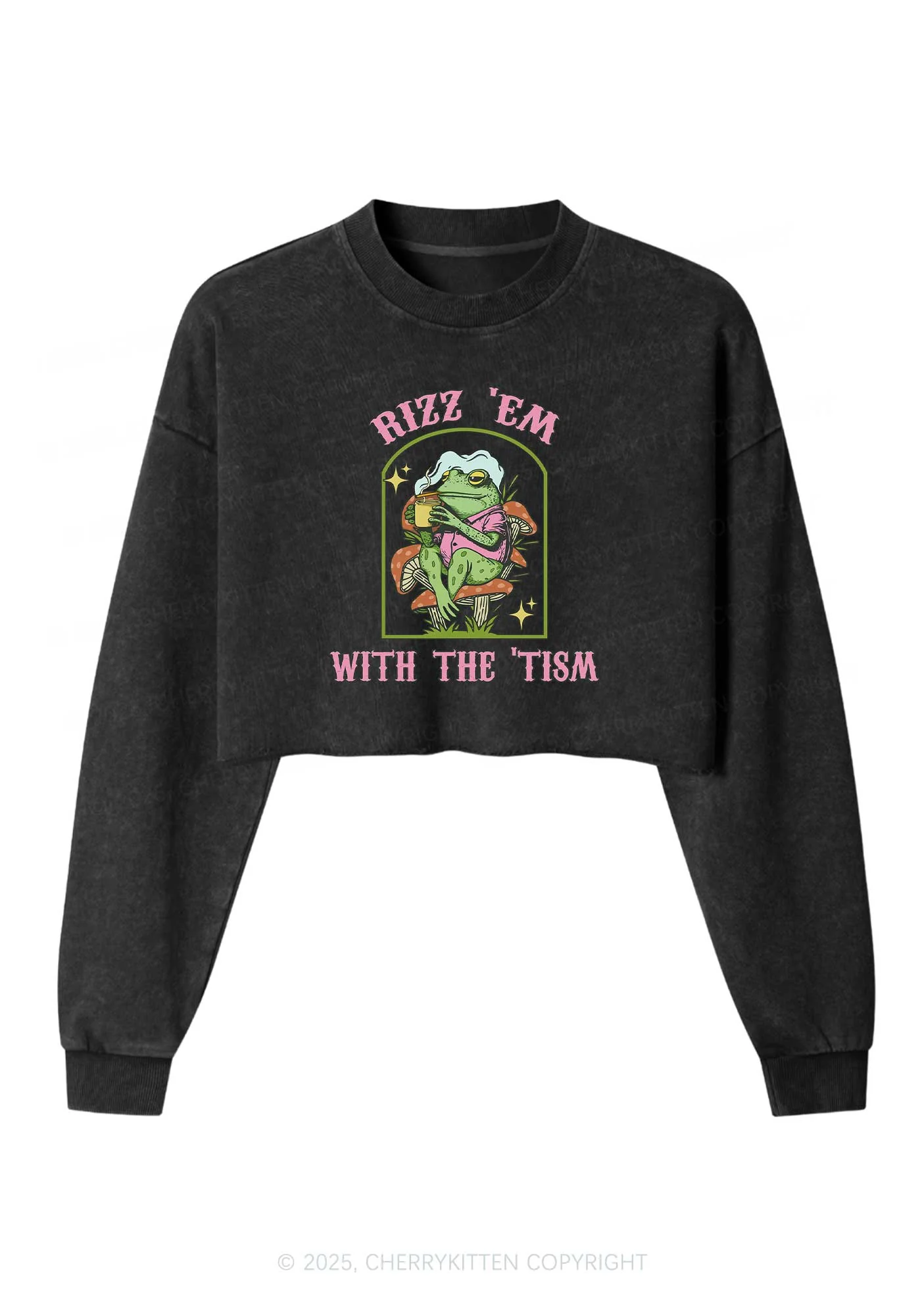 Tism Rizz Frog Y2K Crop Washed Sweatshirts Cherrykitten - Image 3