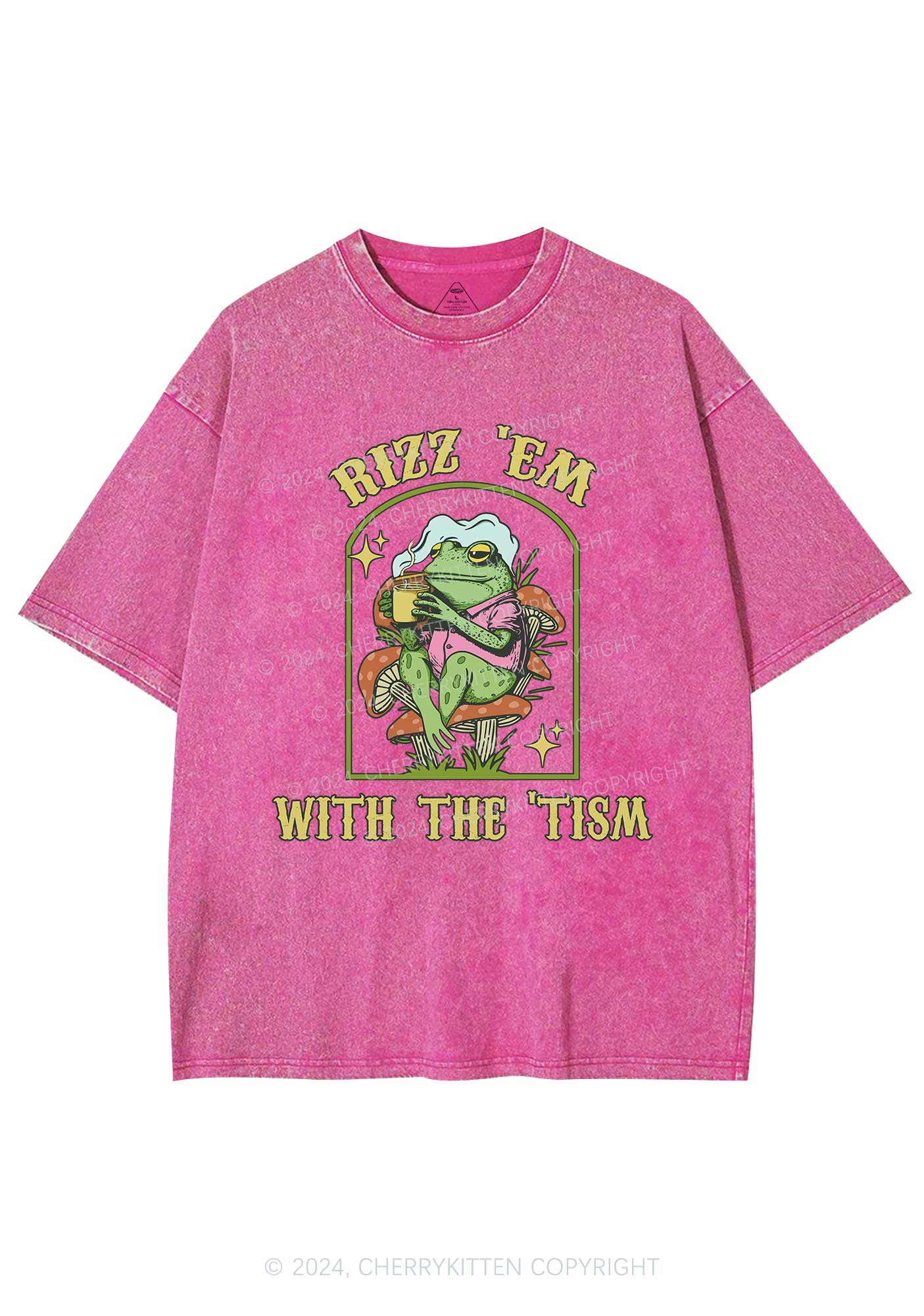 Tism Rizz Frog Y2K Washed Tee Cherrykitten - Image 4