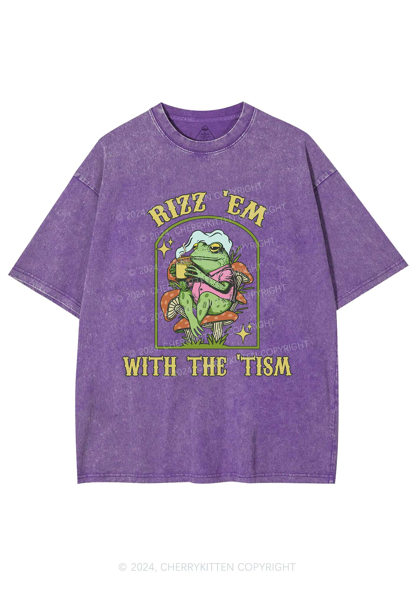 Tism Rizz Frog Y2K Washed Tee Cherrykitten - Image 5