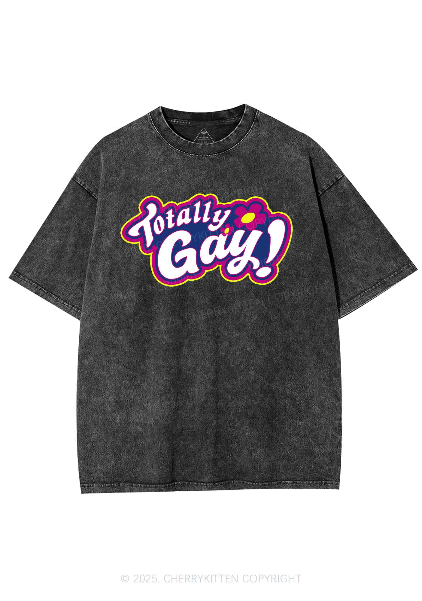 Totally Gay Pride Y2K Shirts Washed Tee Cherrykitten - Image 3