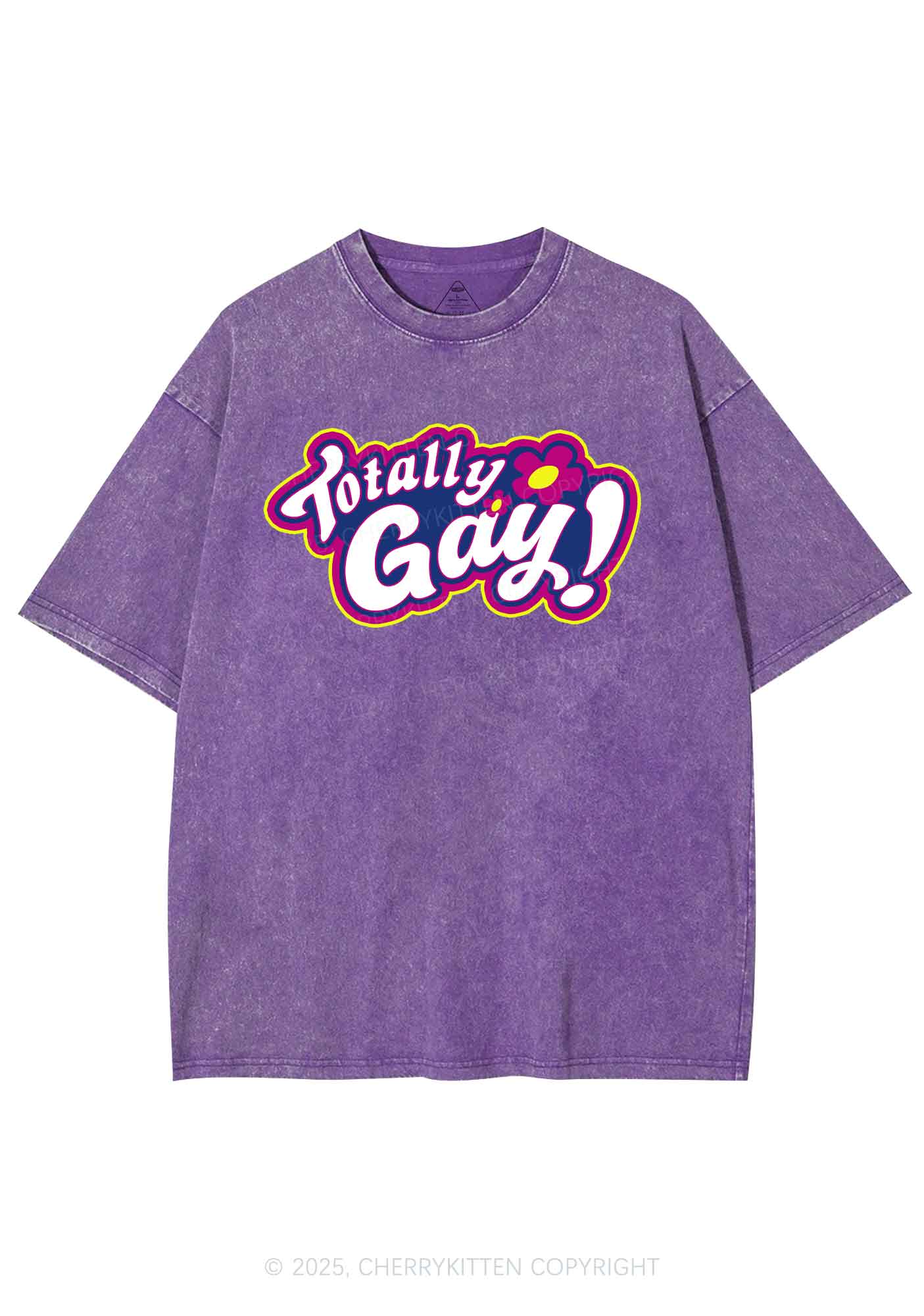 Totally Gay Pride Y2K Shirts Washed Tee Cherrykitten - Image 4