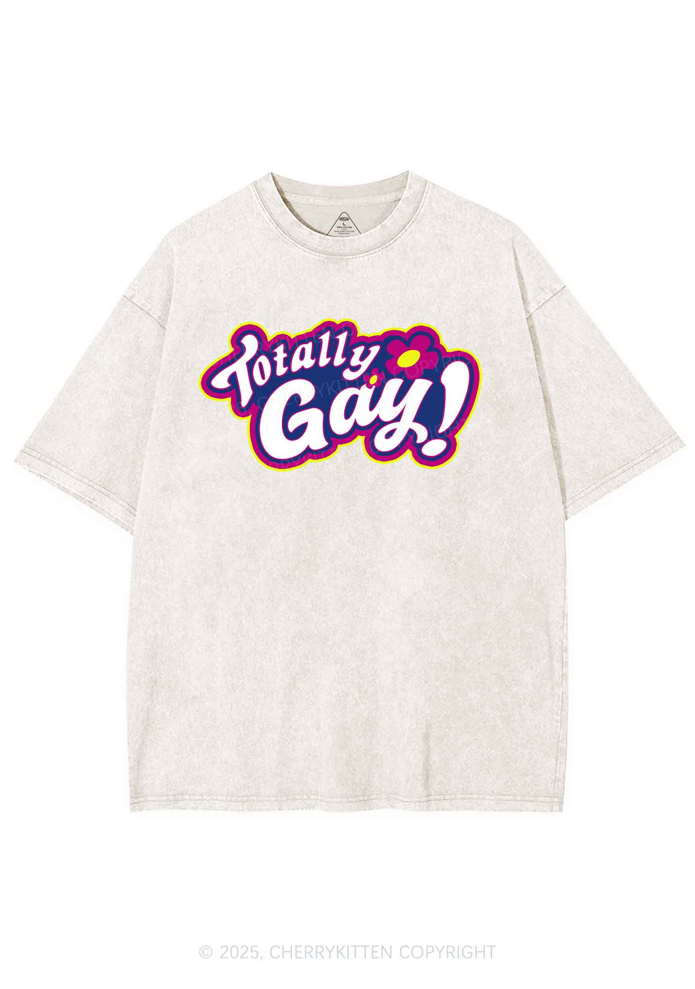 Totally Gay Pride Y2K Shirts Washed Tee Cherrykitten - Image 5