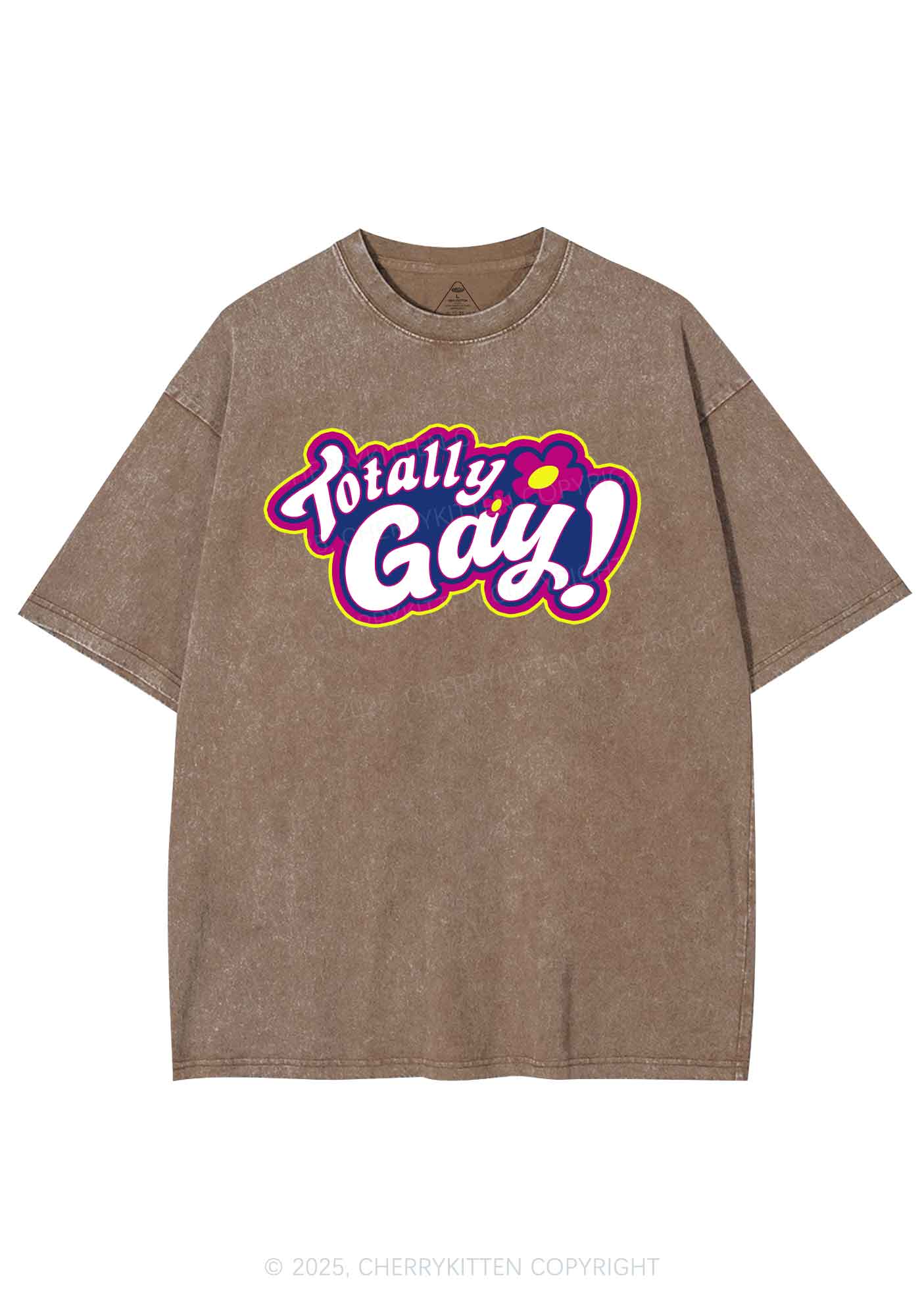 Totally Gay Pride Y2K Shirts Washed Tee Cherrykitten - Image 6