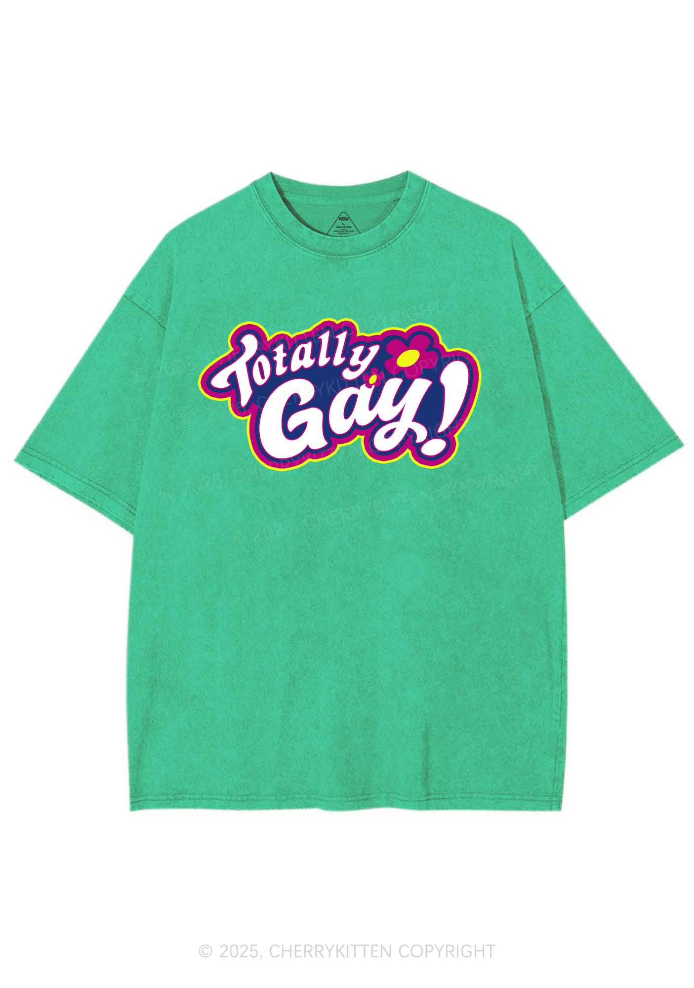 Totally Gay Pride Y2K Shirts Washed Tee Cherrykitten - Image 8