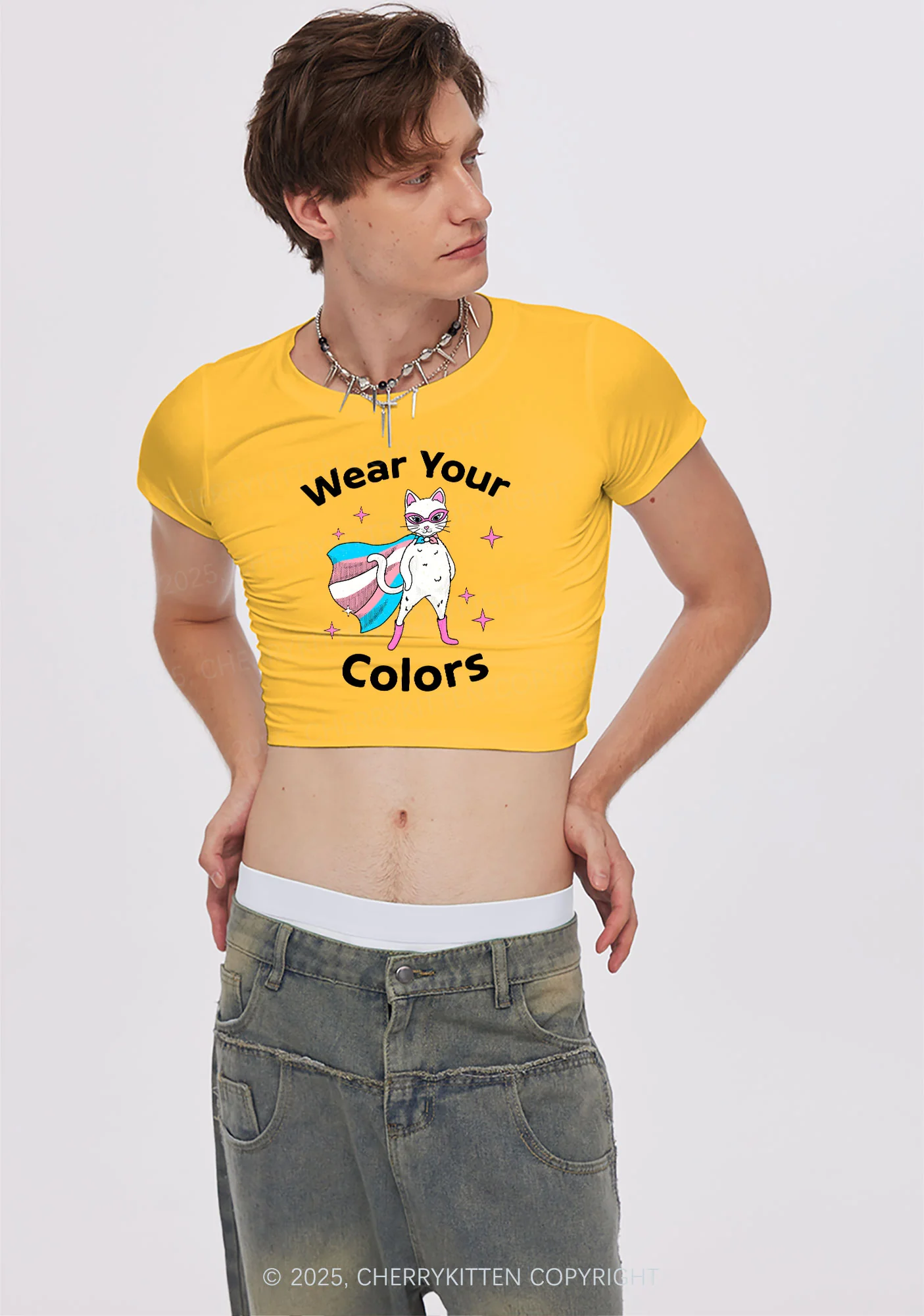 Transgender Flag Cat Pride Y2K Baby Tee Cherrykitten - Image 3