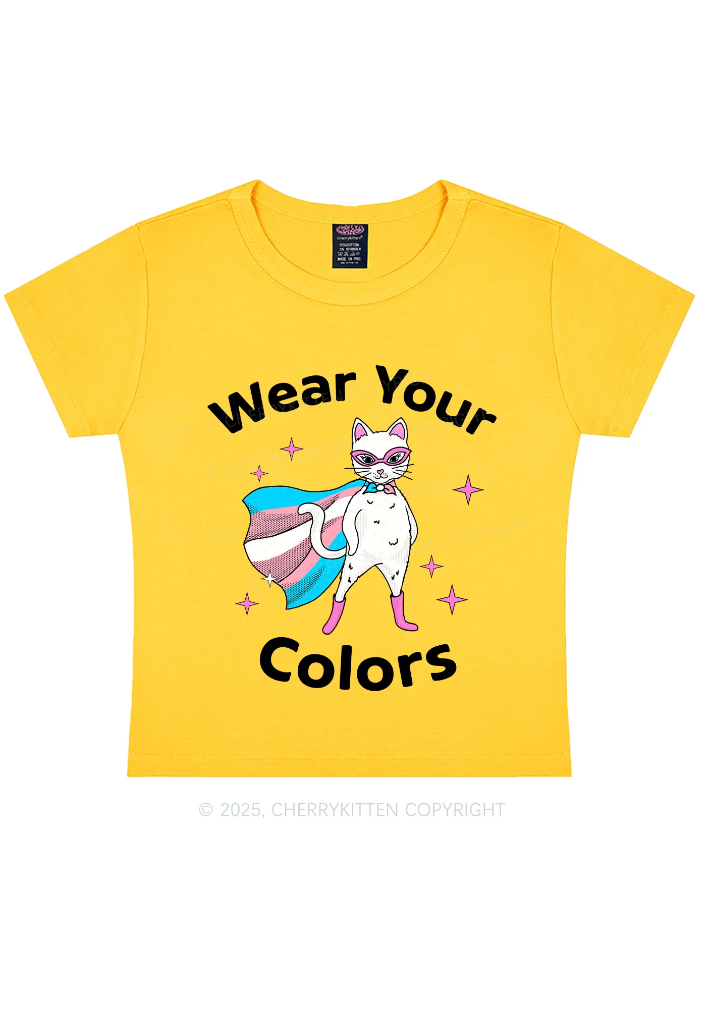 Transgender Flag Cat Pride Y2K Baby Tee Cherrykitten - Image 5
