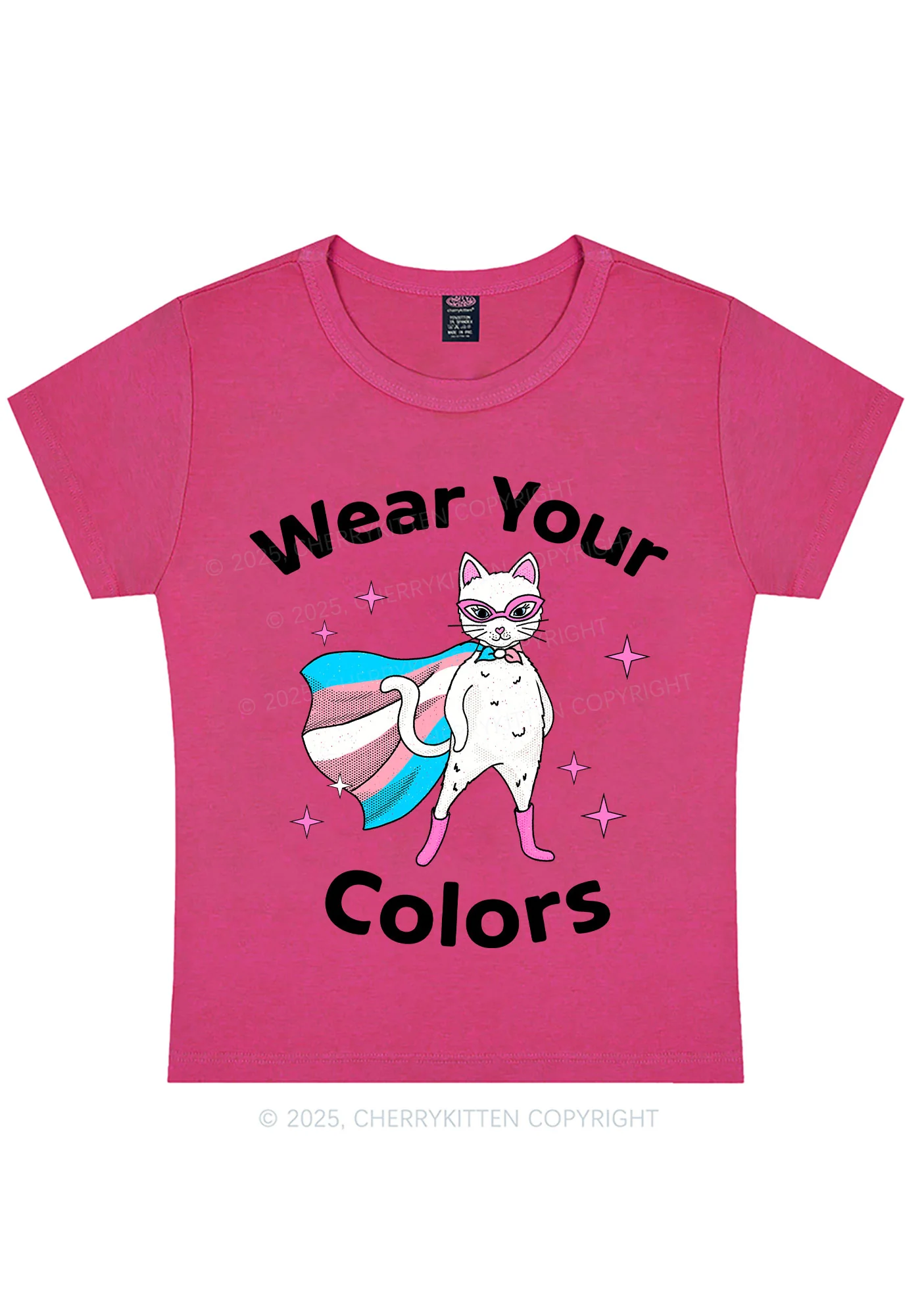 Transgender Flag Cat Pride Y2K Baby Tee Cherrykitten - Image 7