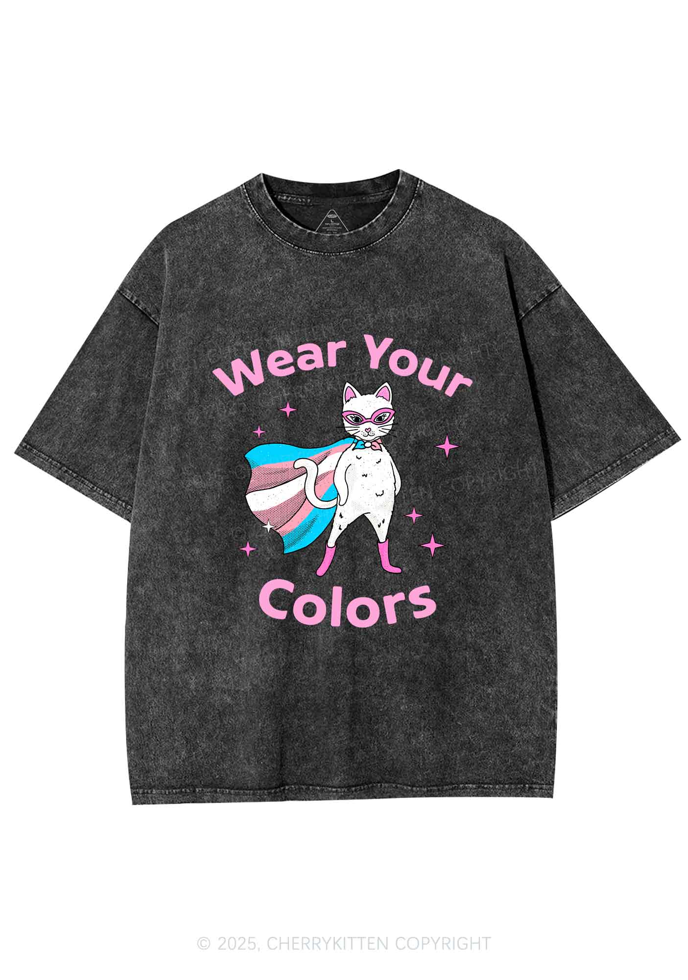 Transgender Flag Cat Pride Y2K Shirts Washed Tee Cherrykitten - Image 3