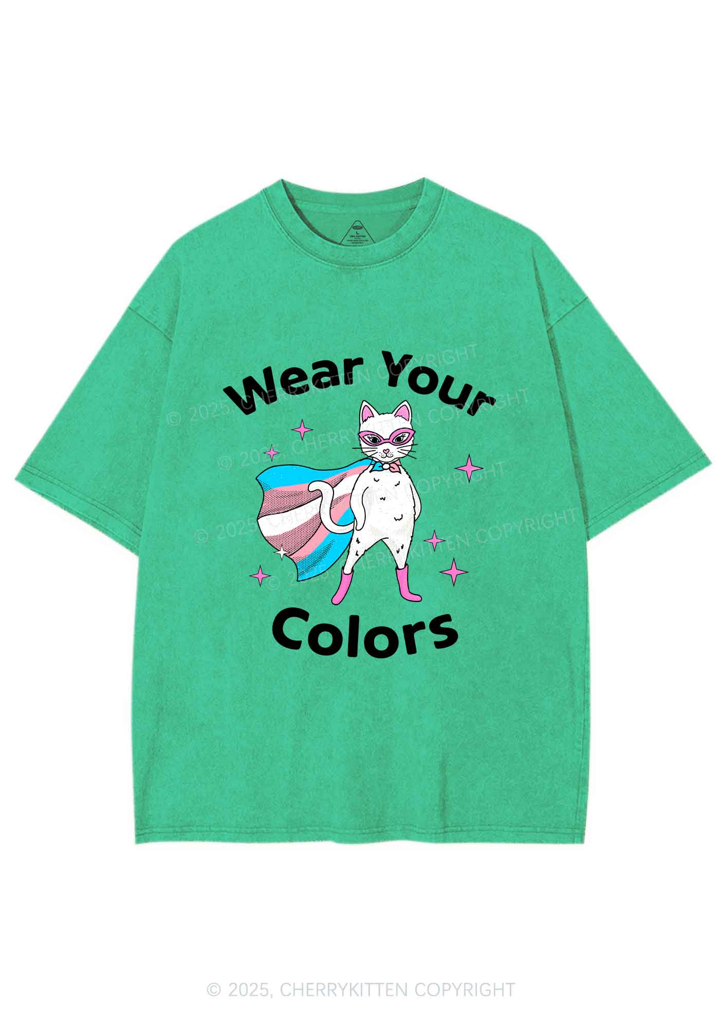 Transgender Flag Cat Pride Y2K Shirts Washed Tee Cherrykitten - Image 8
