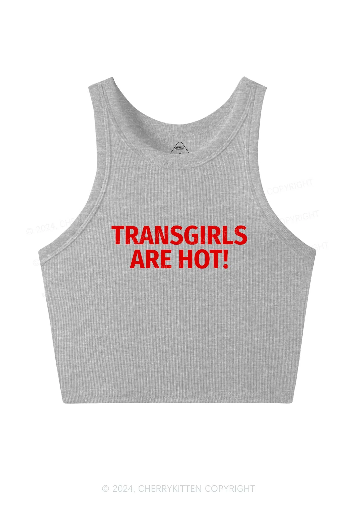 Transgirls Are Hot Y2K Crop Tank Top Cherrykitten - Image 4