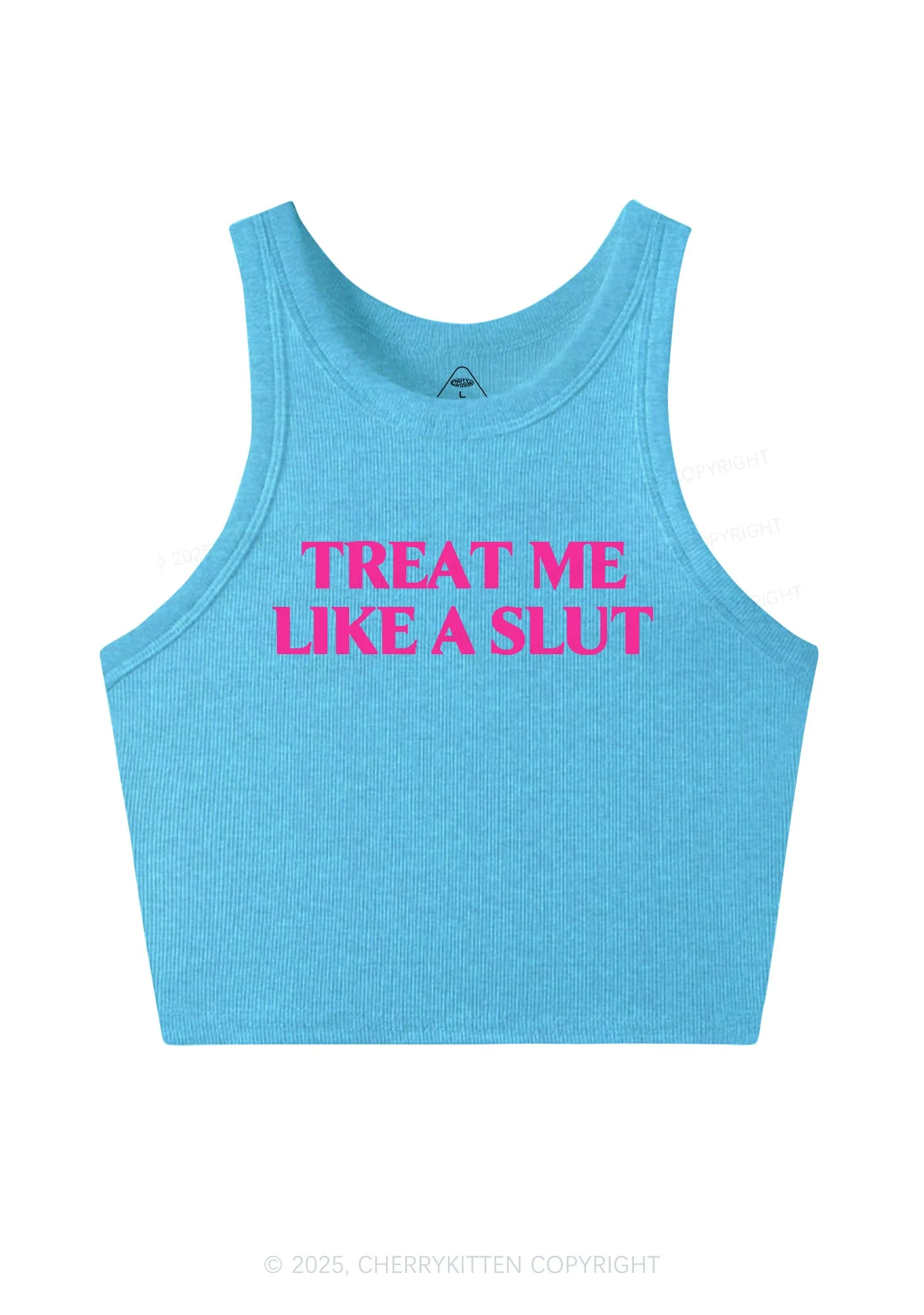 Treat Me Like A Slxt Y2K Crop Tank Top Cherrykitten - Image 5