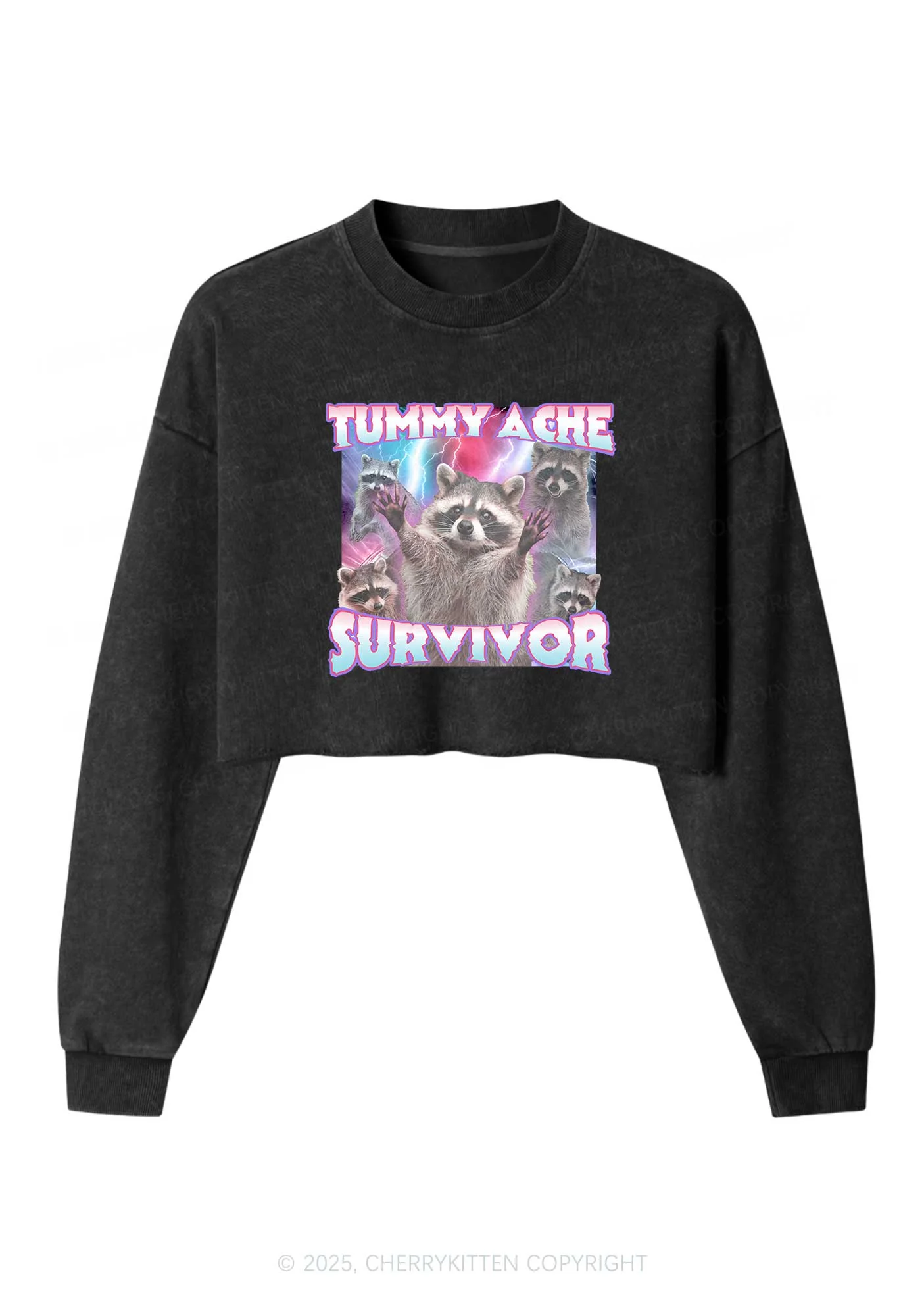 Tummy Ache Survivor Raccoon Y2K Crop Washed Sweatshirts Cherrykitten - Image 3