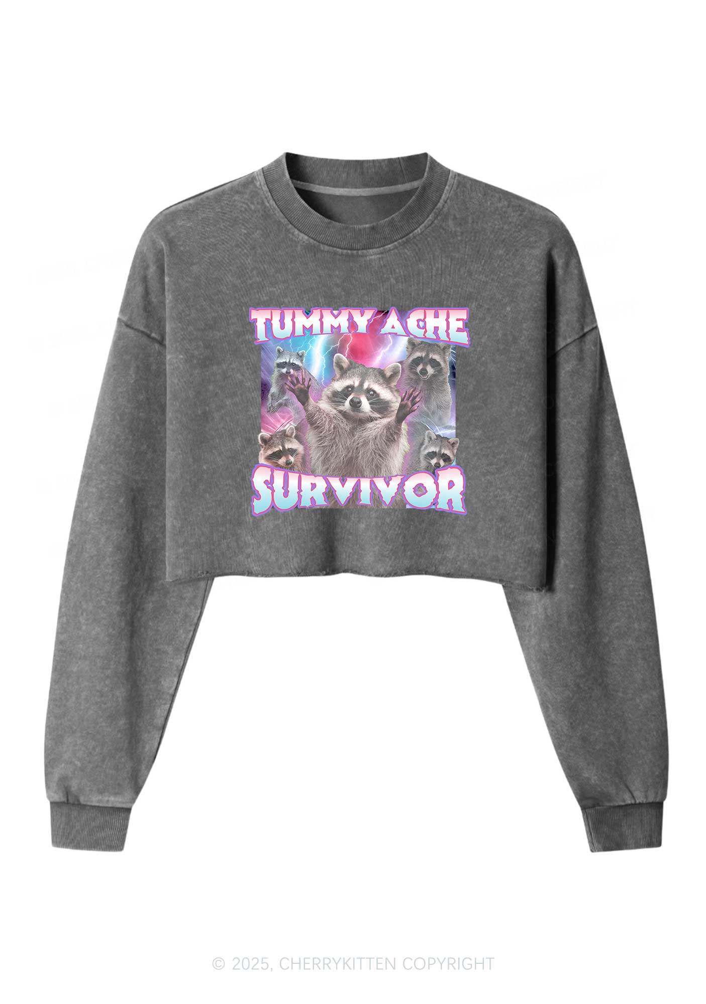 Tummy Ache Survivor Raccoon Y2K Crop Washed Sweatshirts Cherrykitten - Image 5