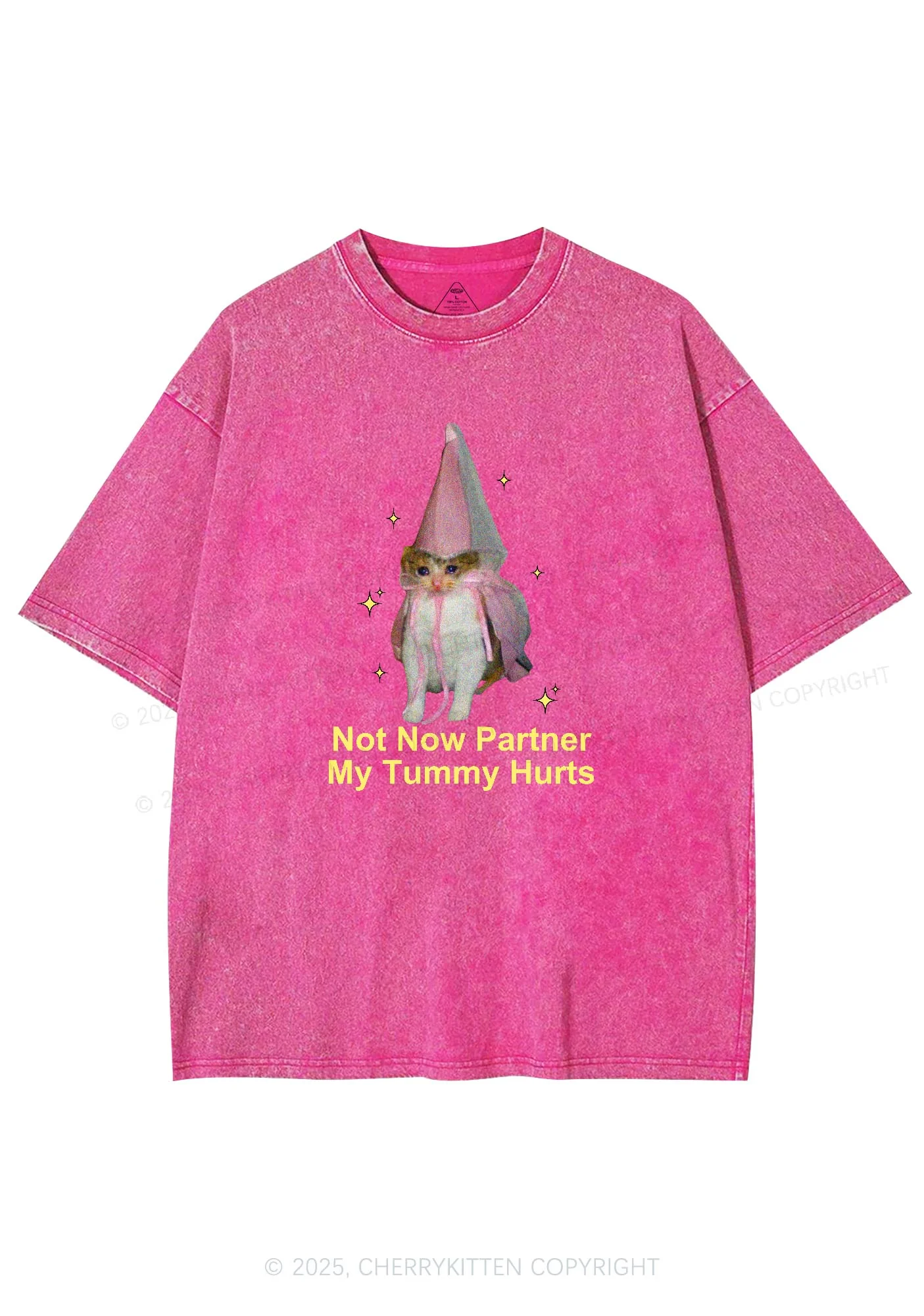 Tummy Hurts Cat Y2K Washed Tee Cherrykitten - Image 3