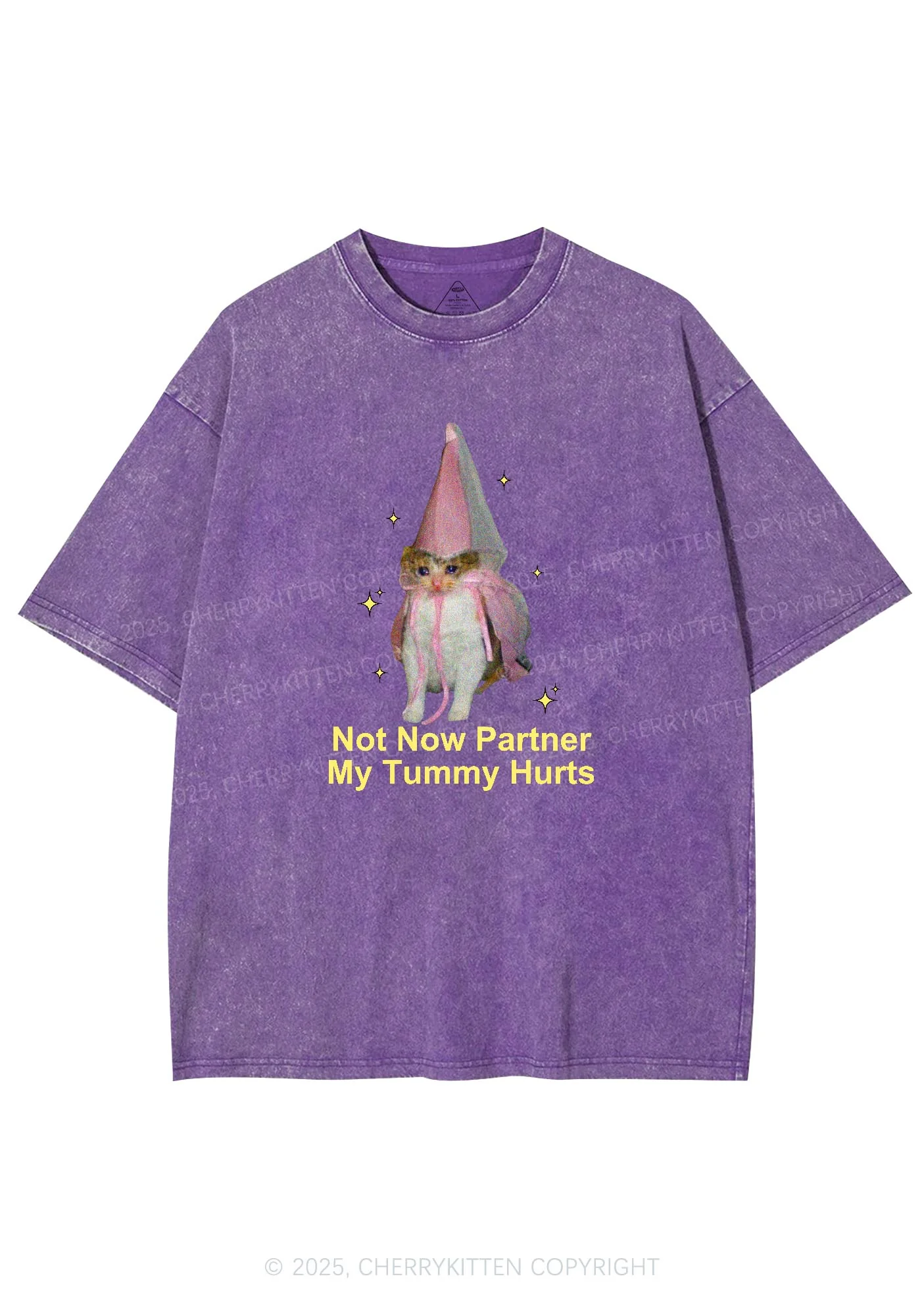 Tummy Hurts Cat Y2K Washed Tee Cherrykitten - Image 4