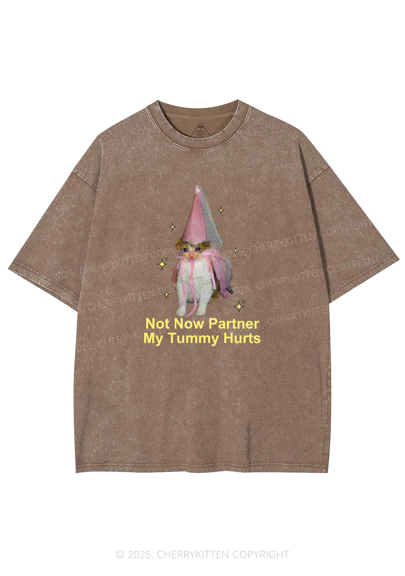 Tummy Hurts Cat Y2K Washed Tee Cherrykitten - Image 6