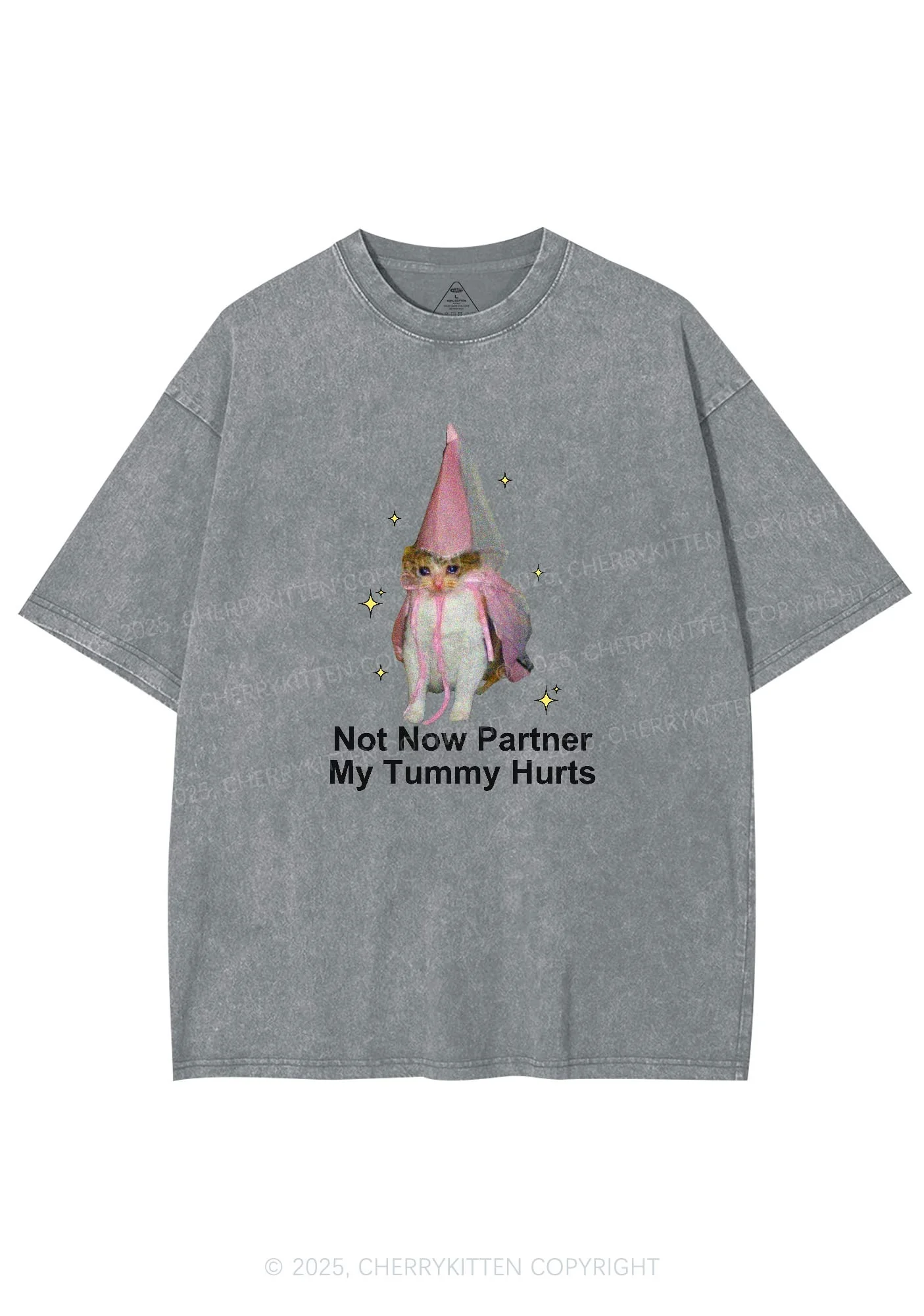 Tummy Hurts Cat Y2K Washed Tee Cherrykitten - Image 7