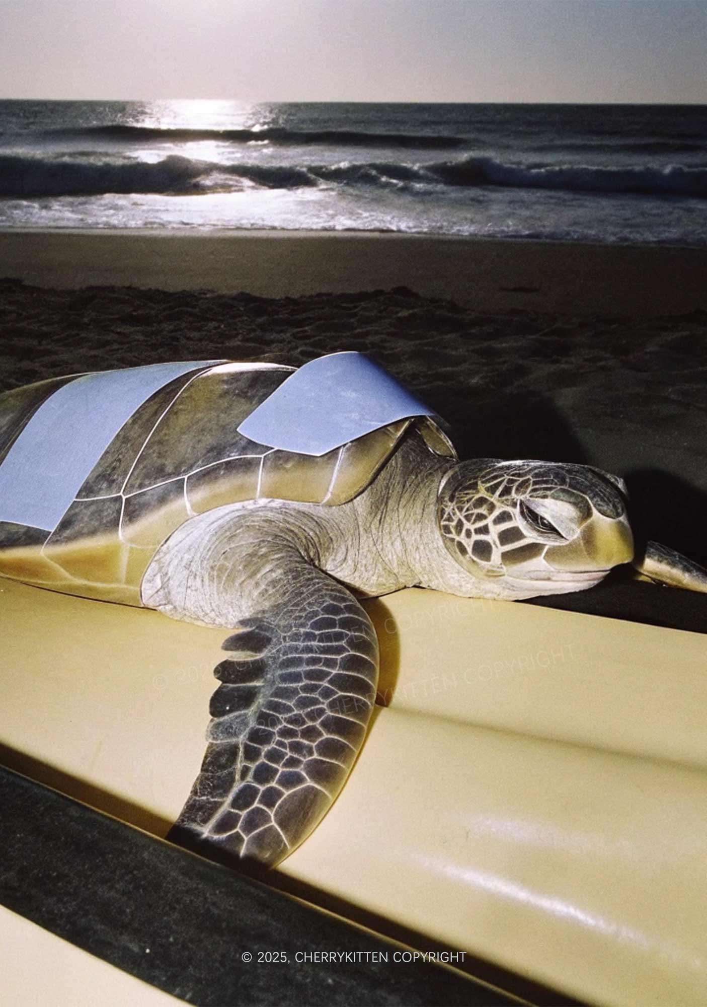 Turtle On Surfboard Y2K Mesh Long Sleeve Crop Top Cherrykitten - Image 2