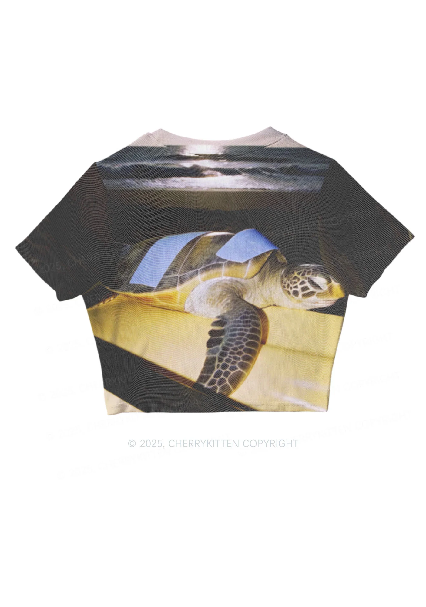 Turtle On Surfboard Y2K Mesh Crop Top Cherrykitten - Image 5